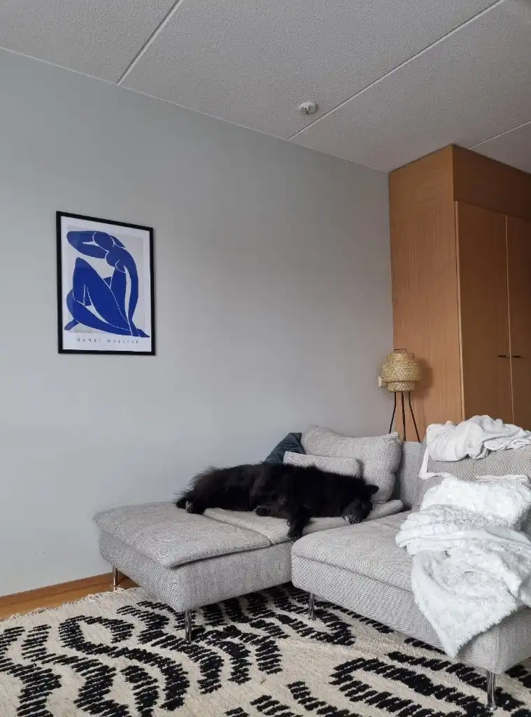 image-6
