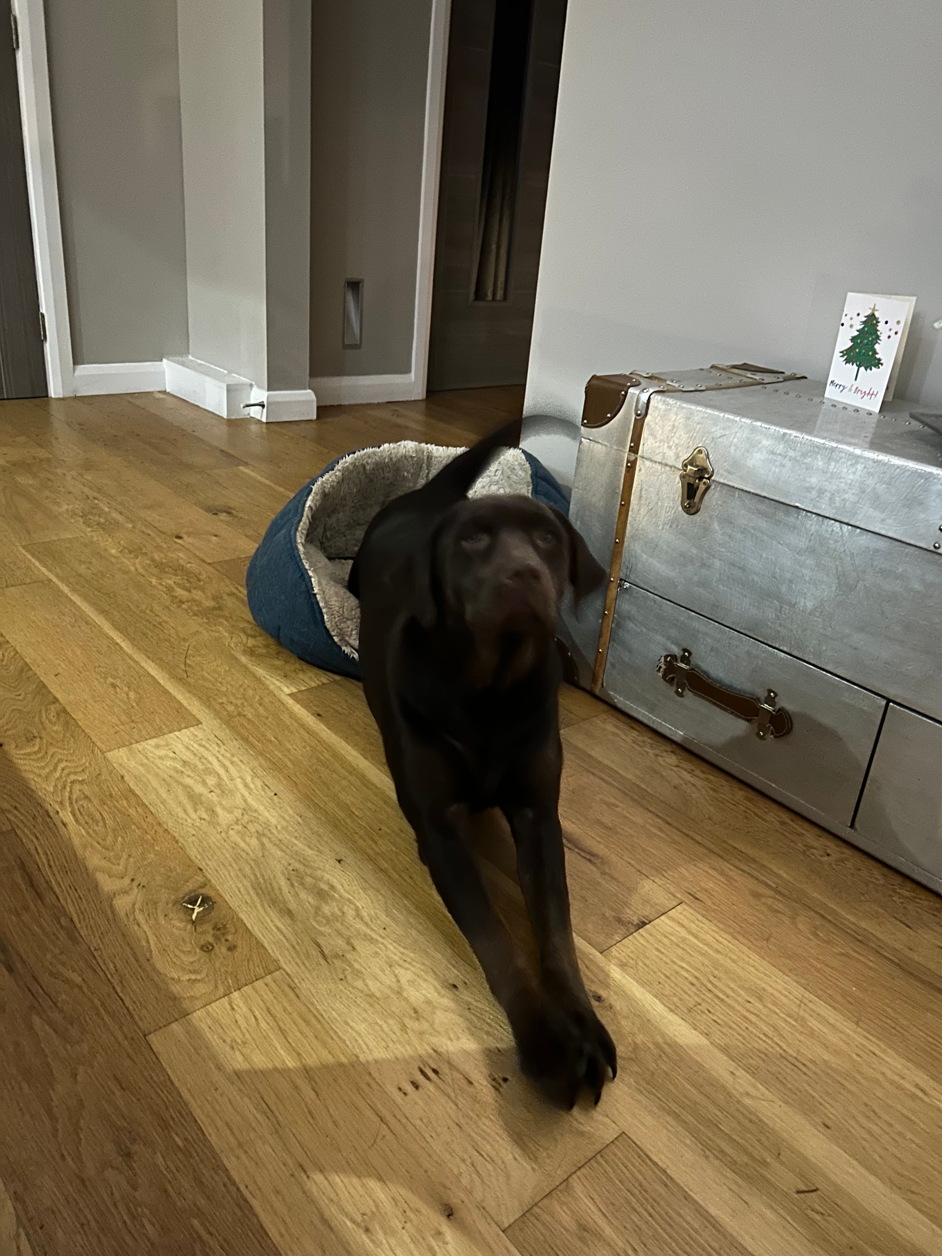 image-12
