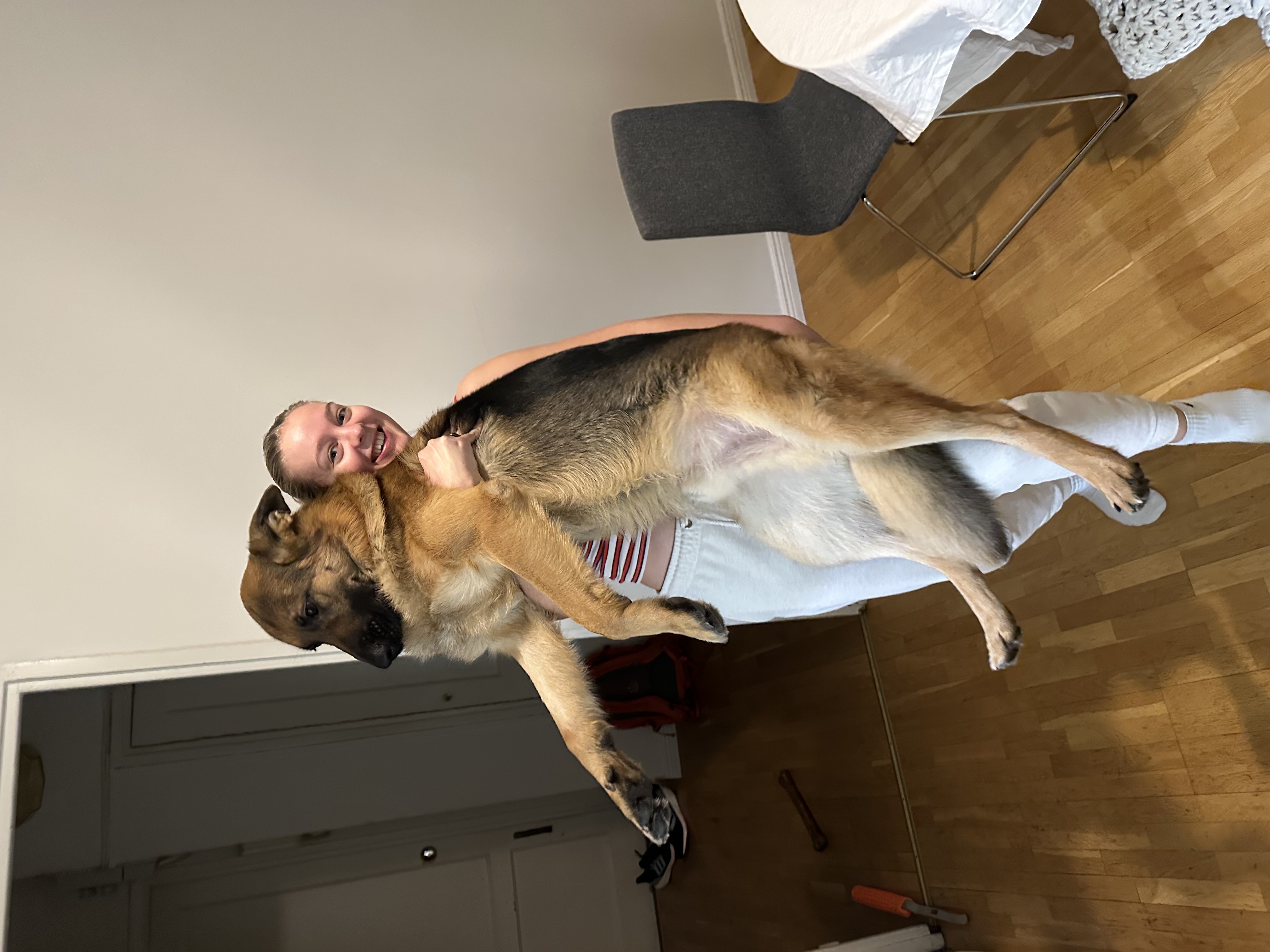 image-5