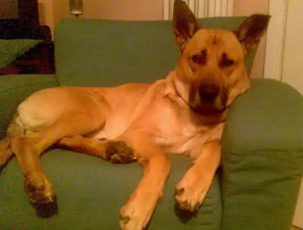 image-7