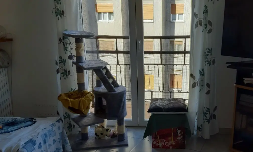image-4