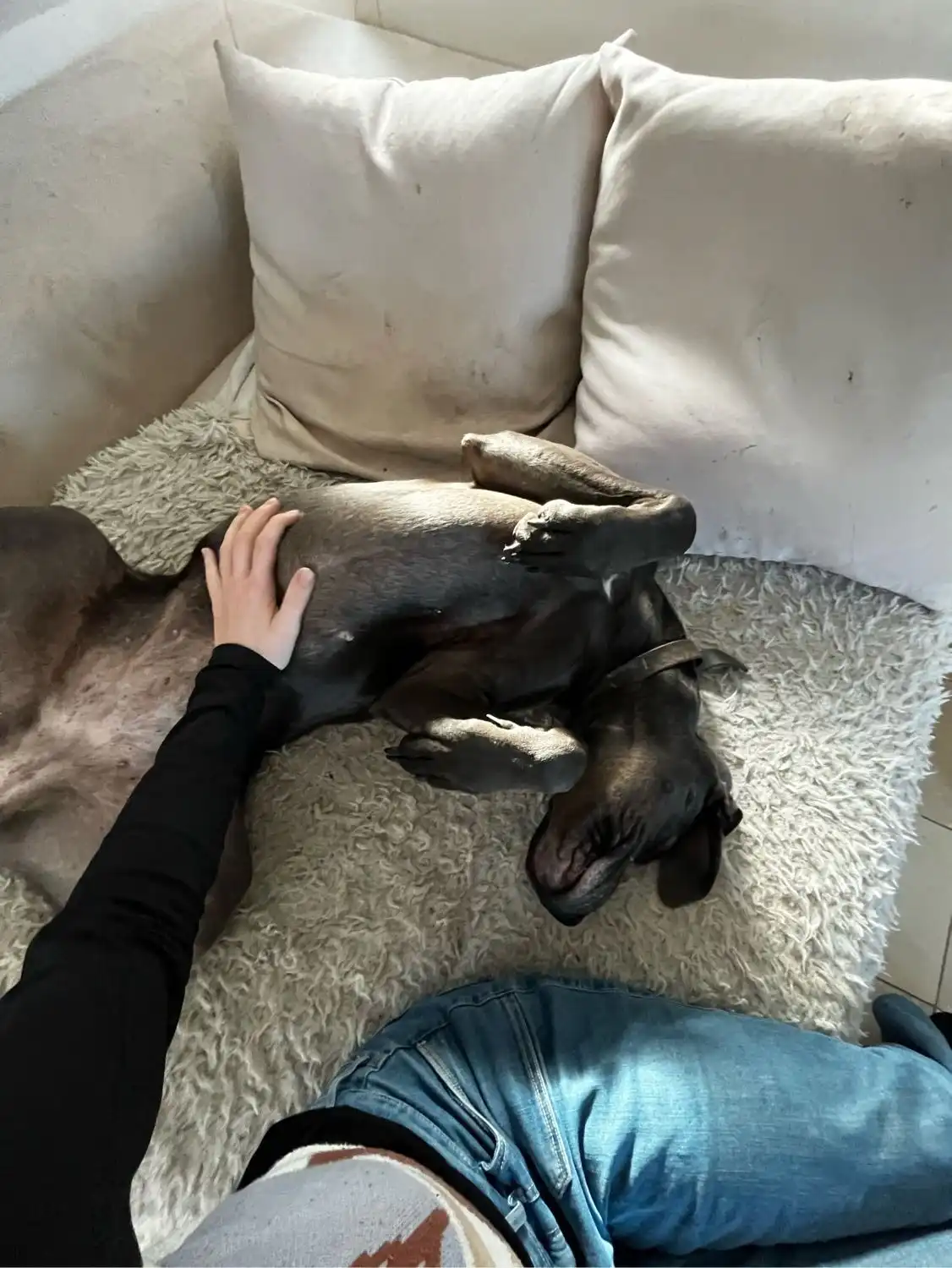 image-7