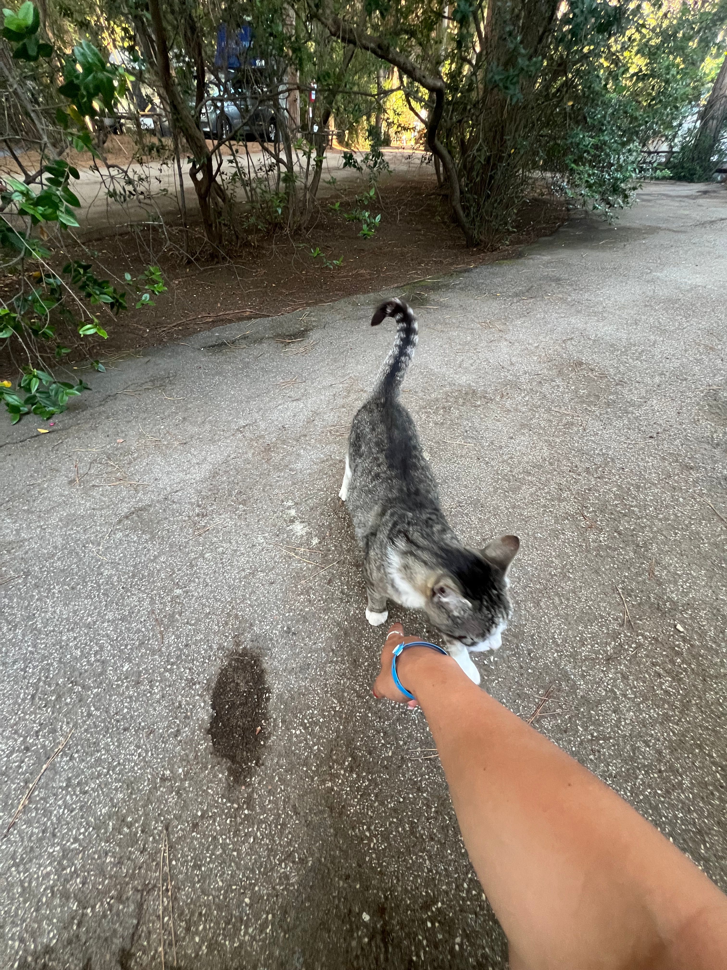 image-8