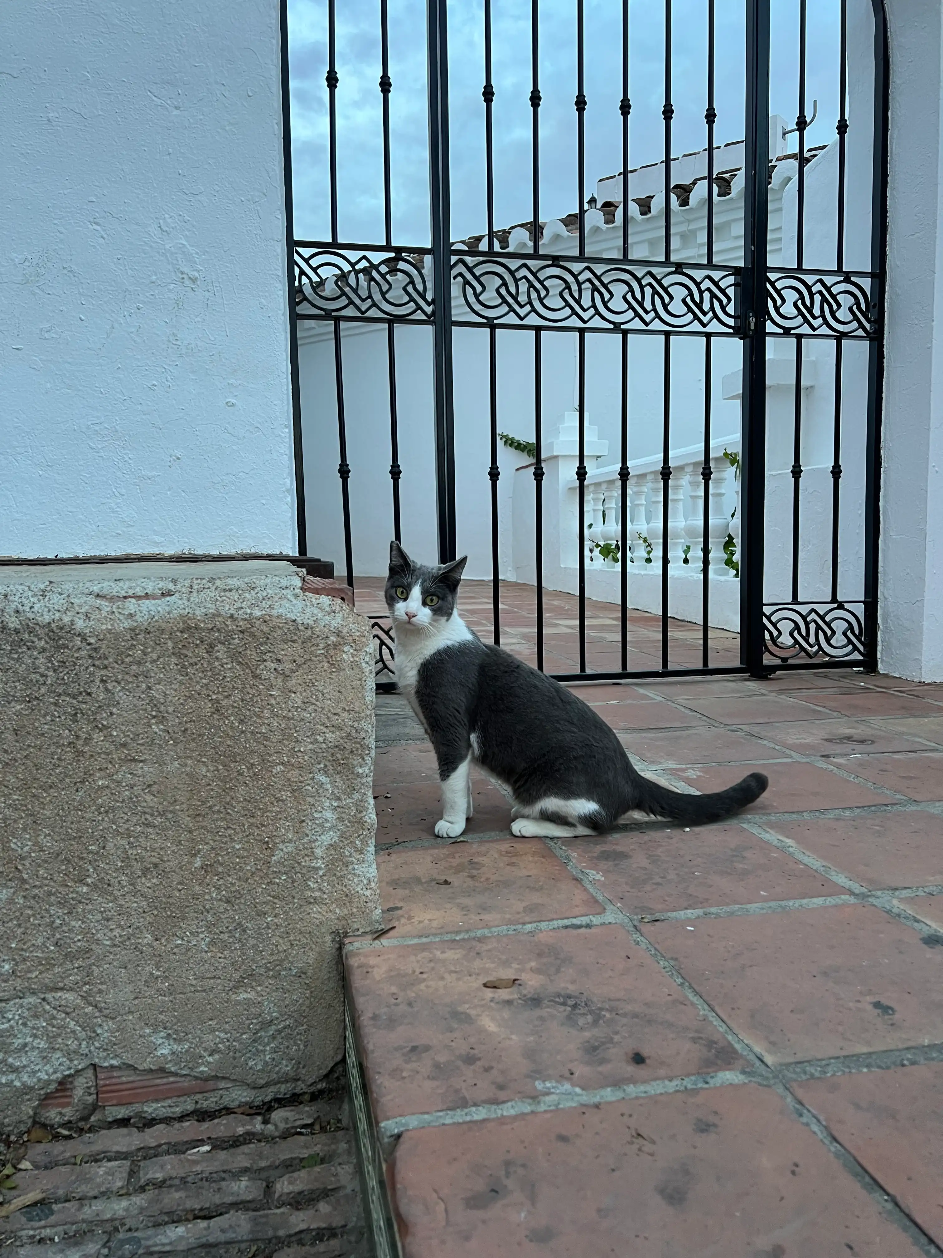 image-9