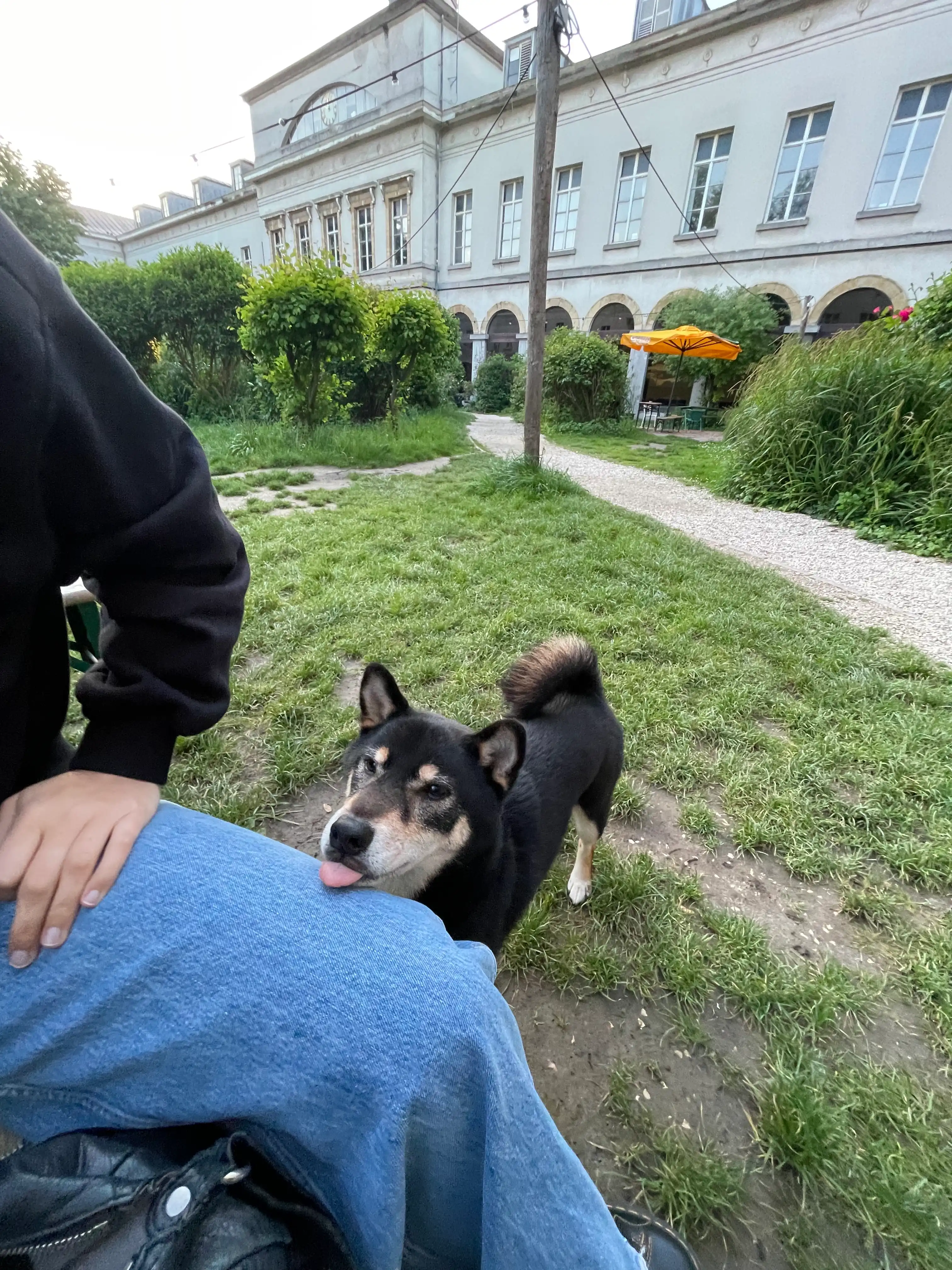 image-16