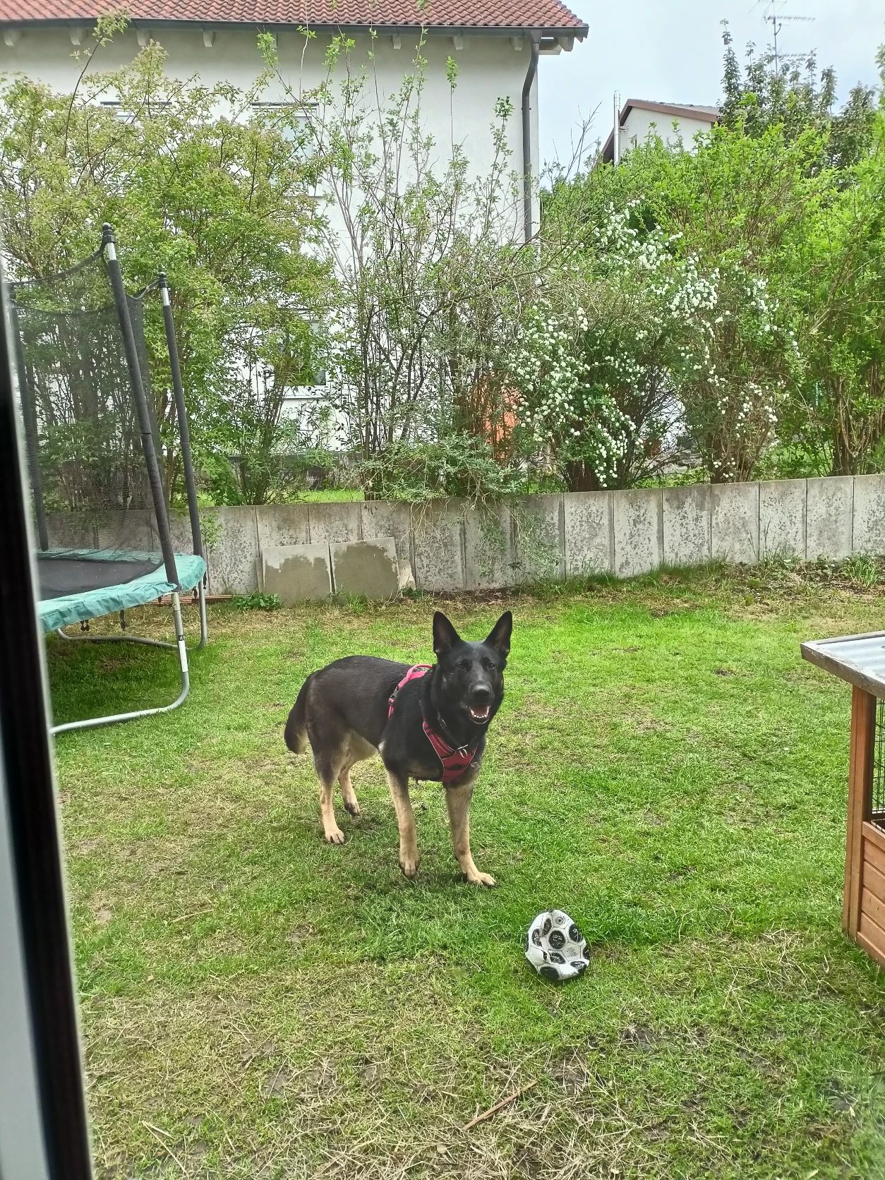 image-18