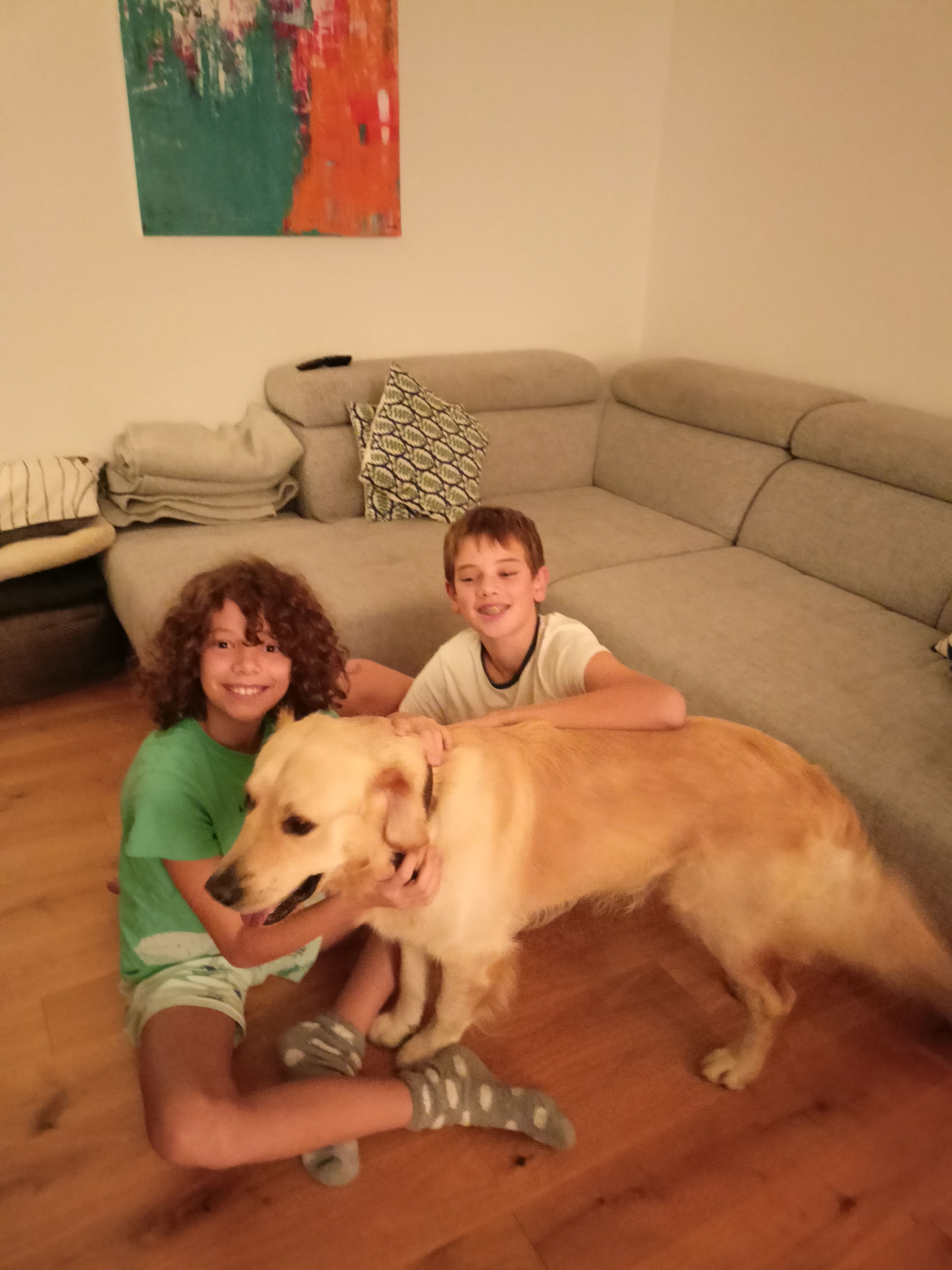 image-7