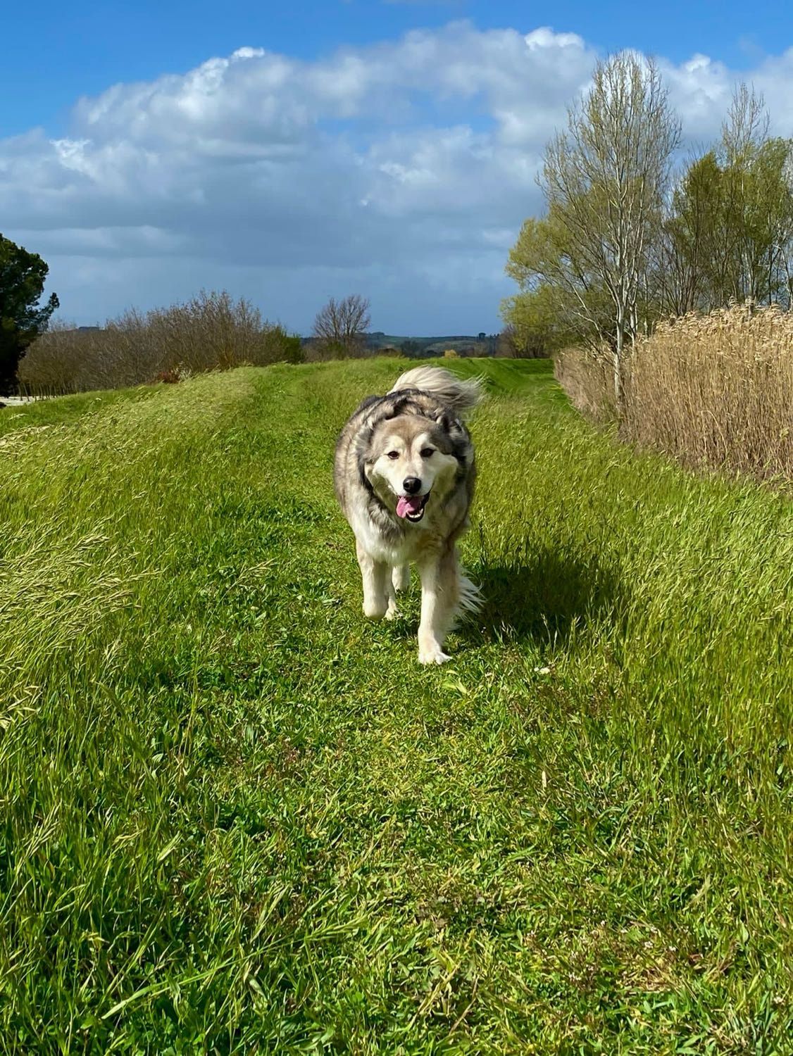 image-8