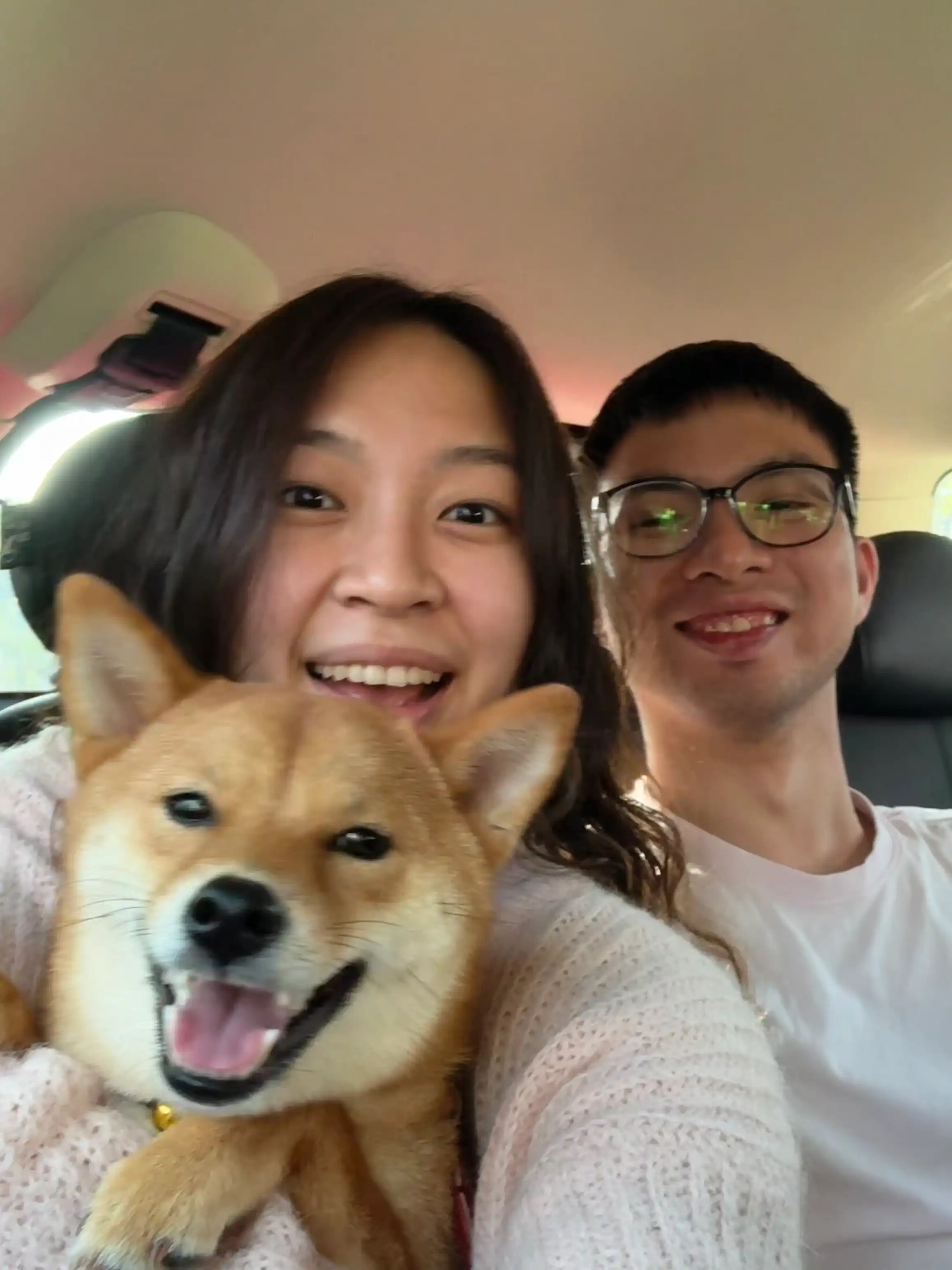 image-15