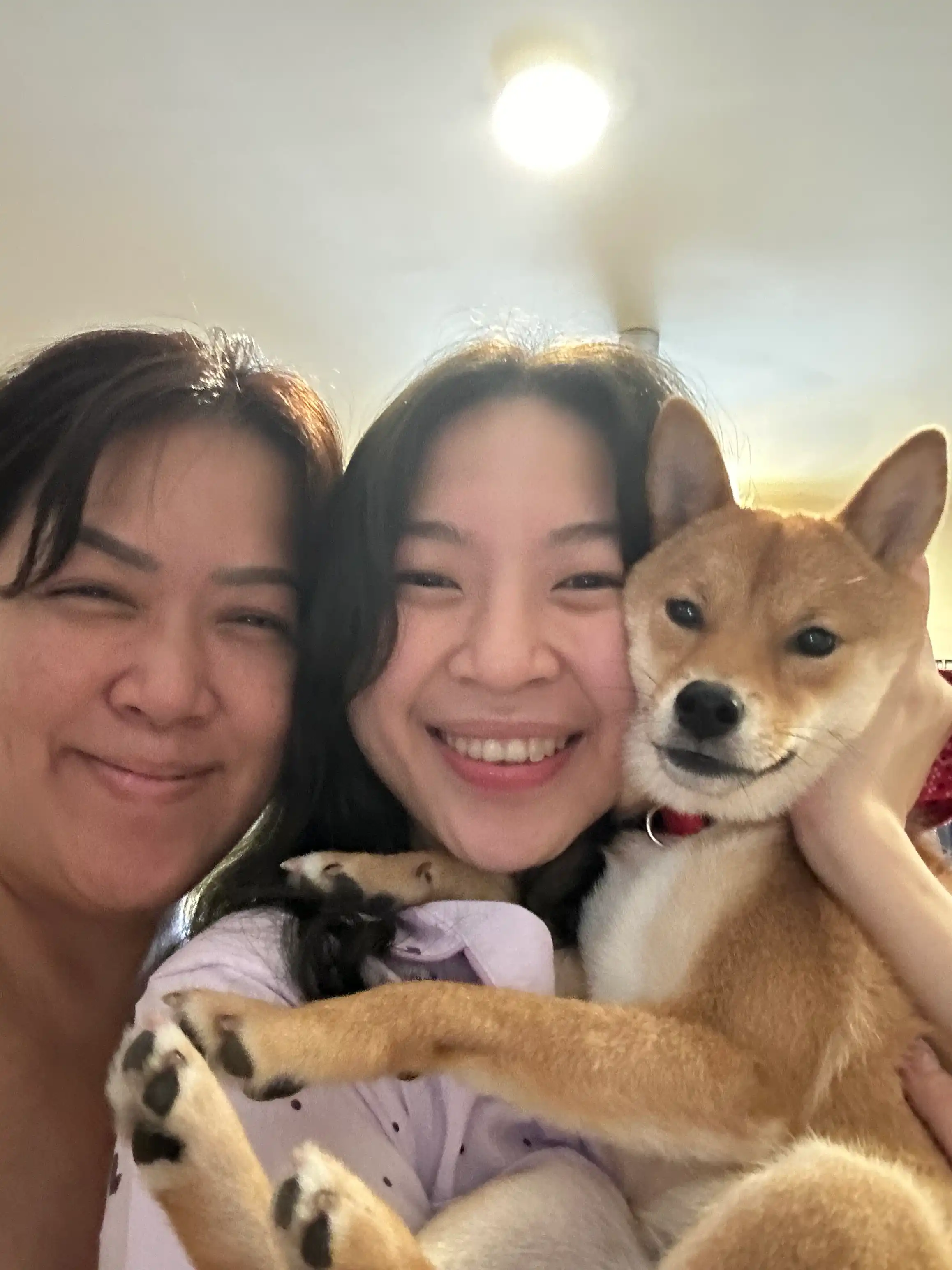 image-13
