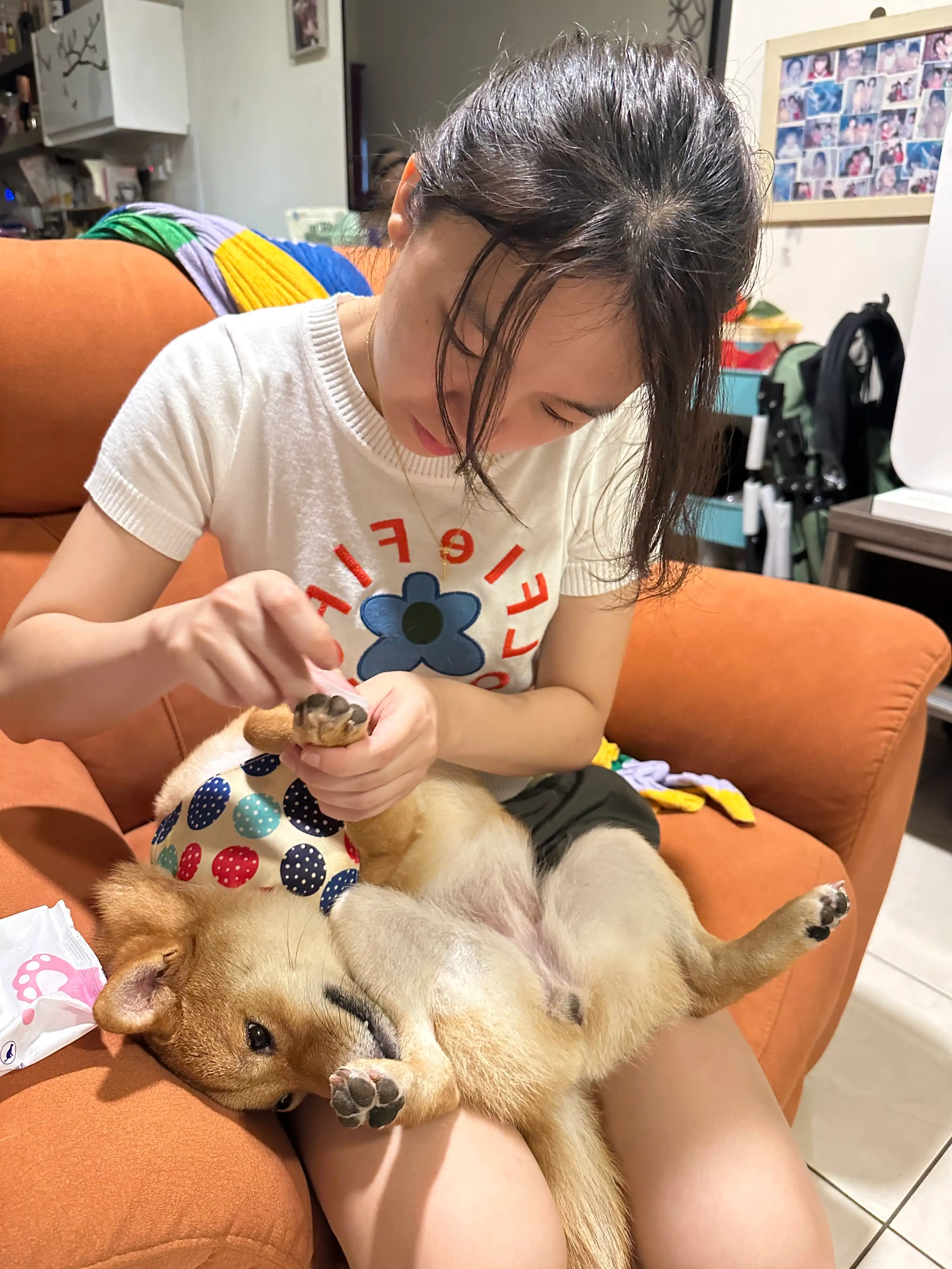 image-10