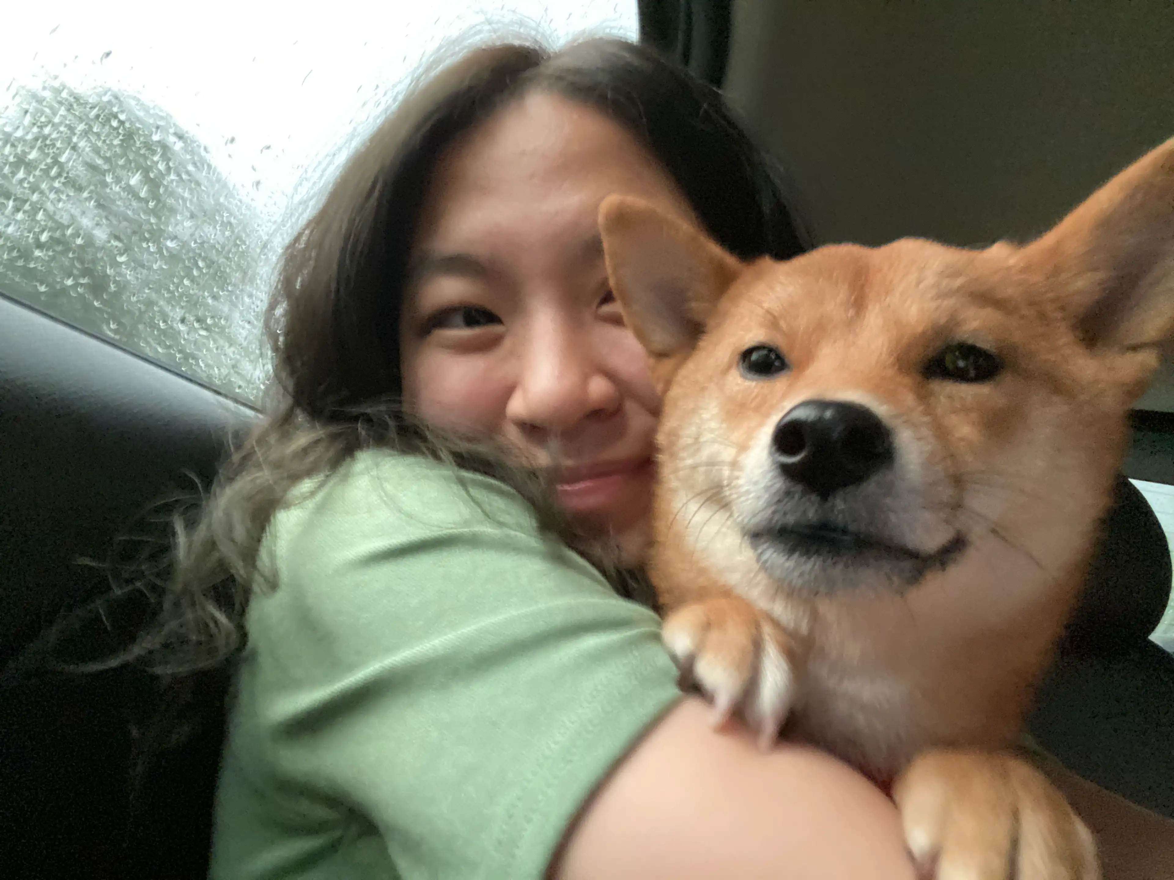 image-18