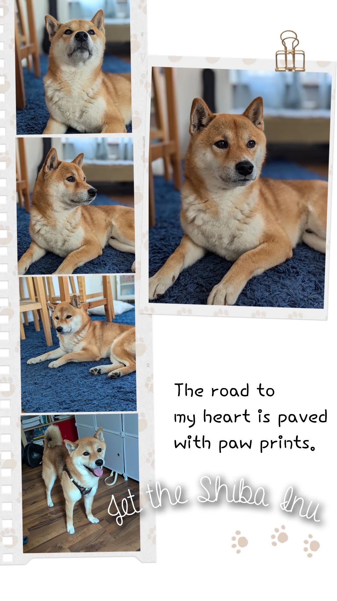 image-23