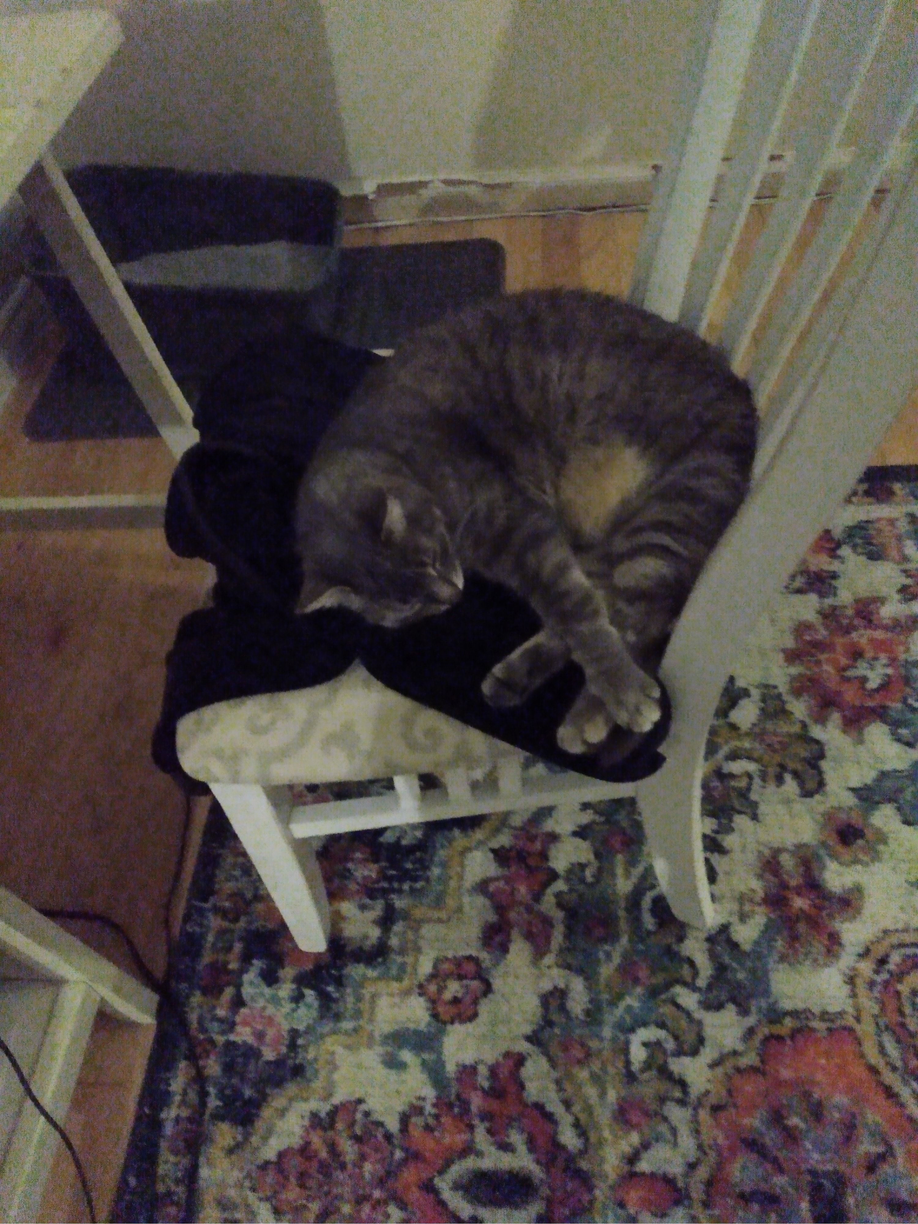 image-4