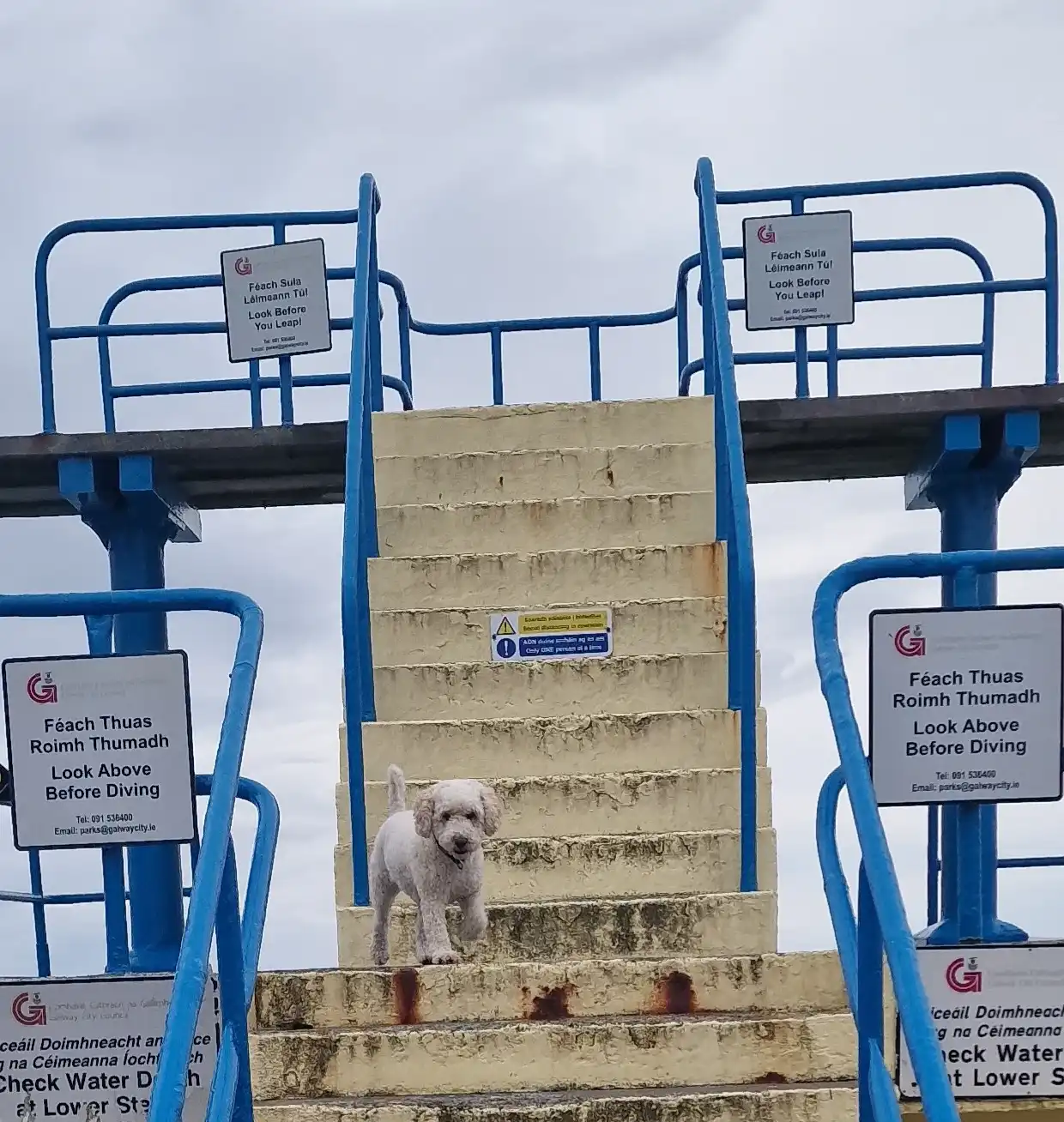 image-10