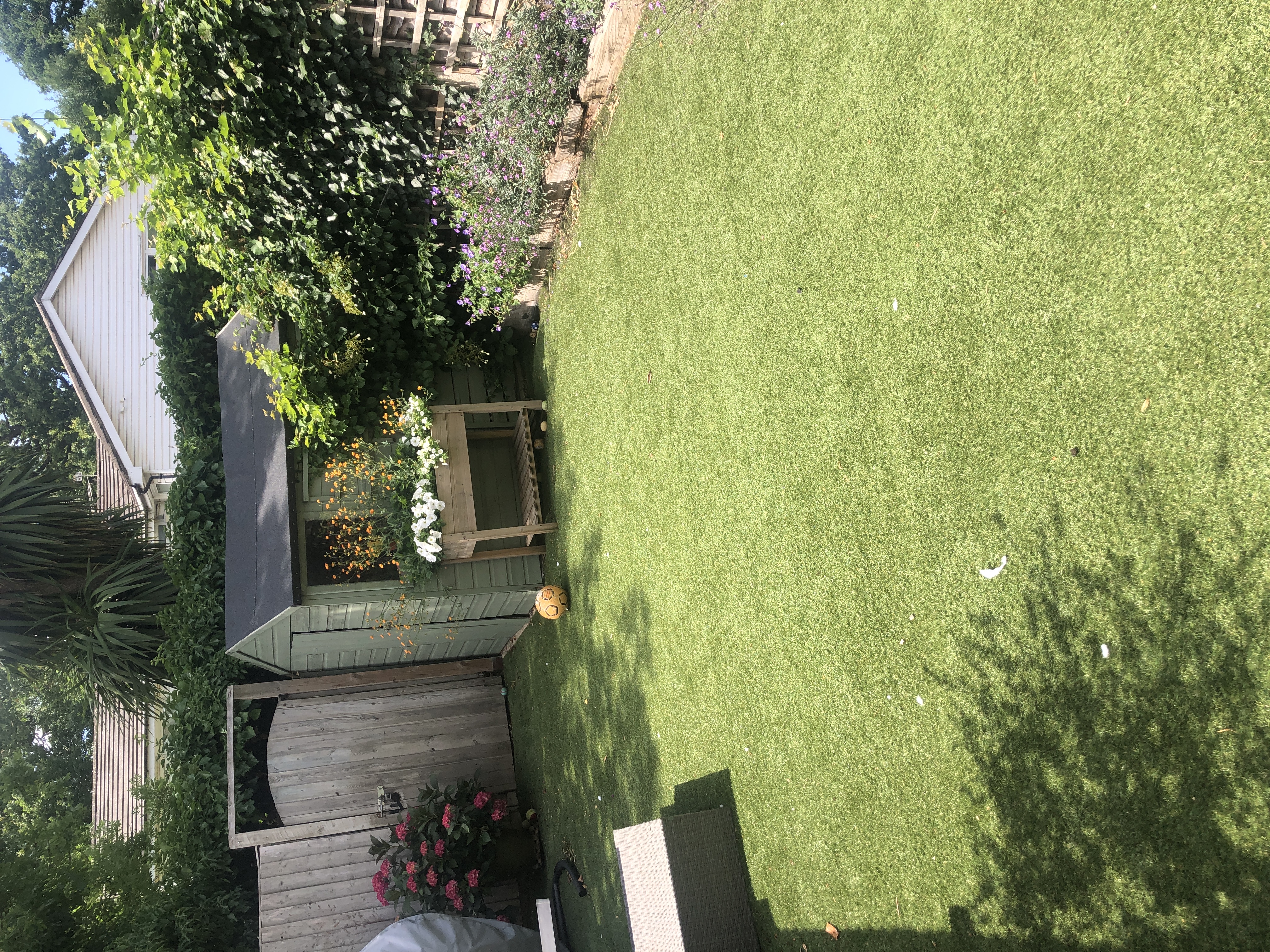 image-13