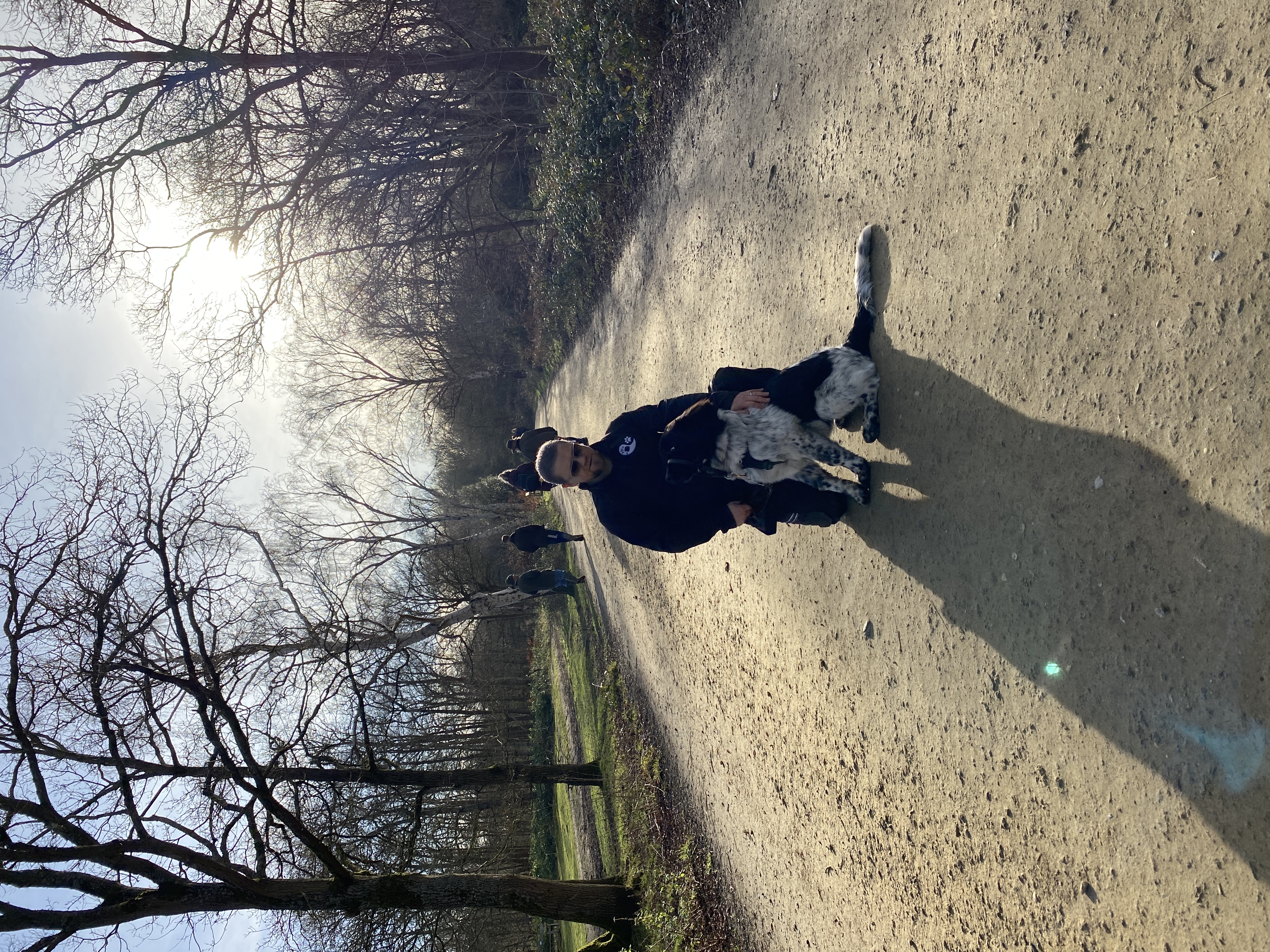 image-14