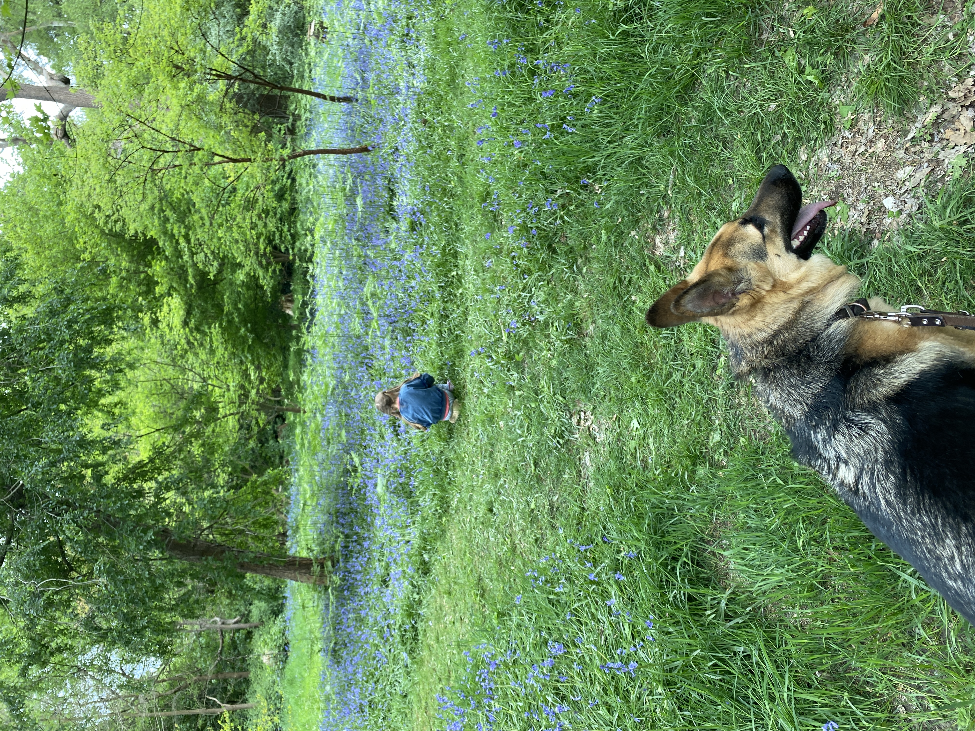 image-16