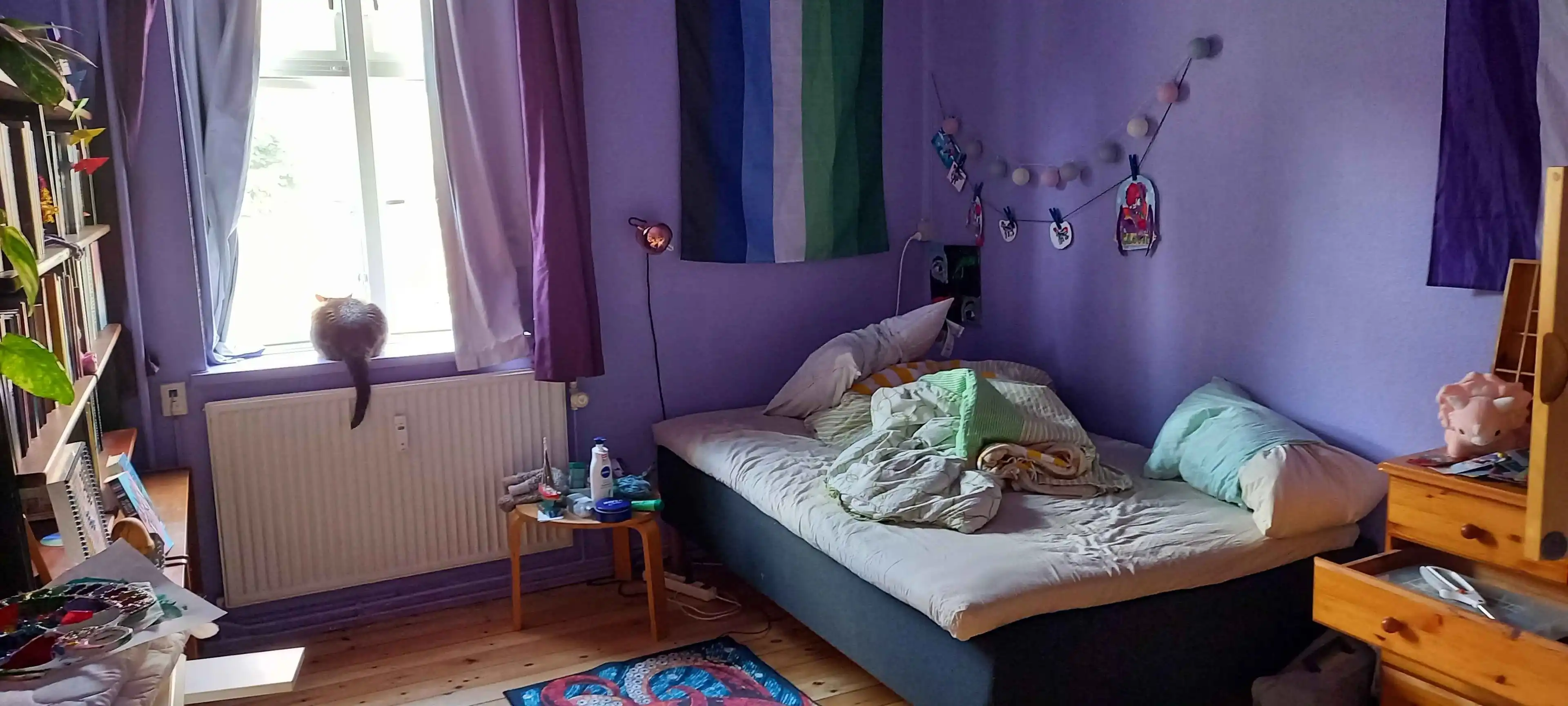 image-7