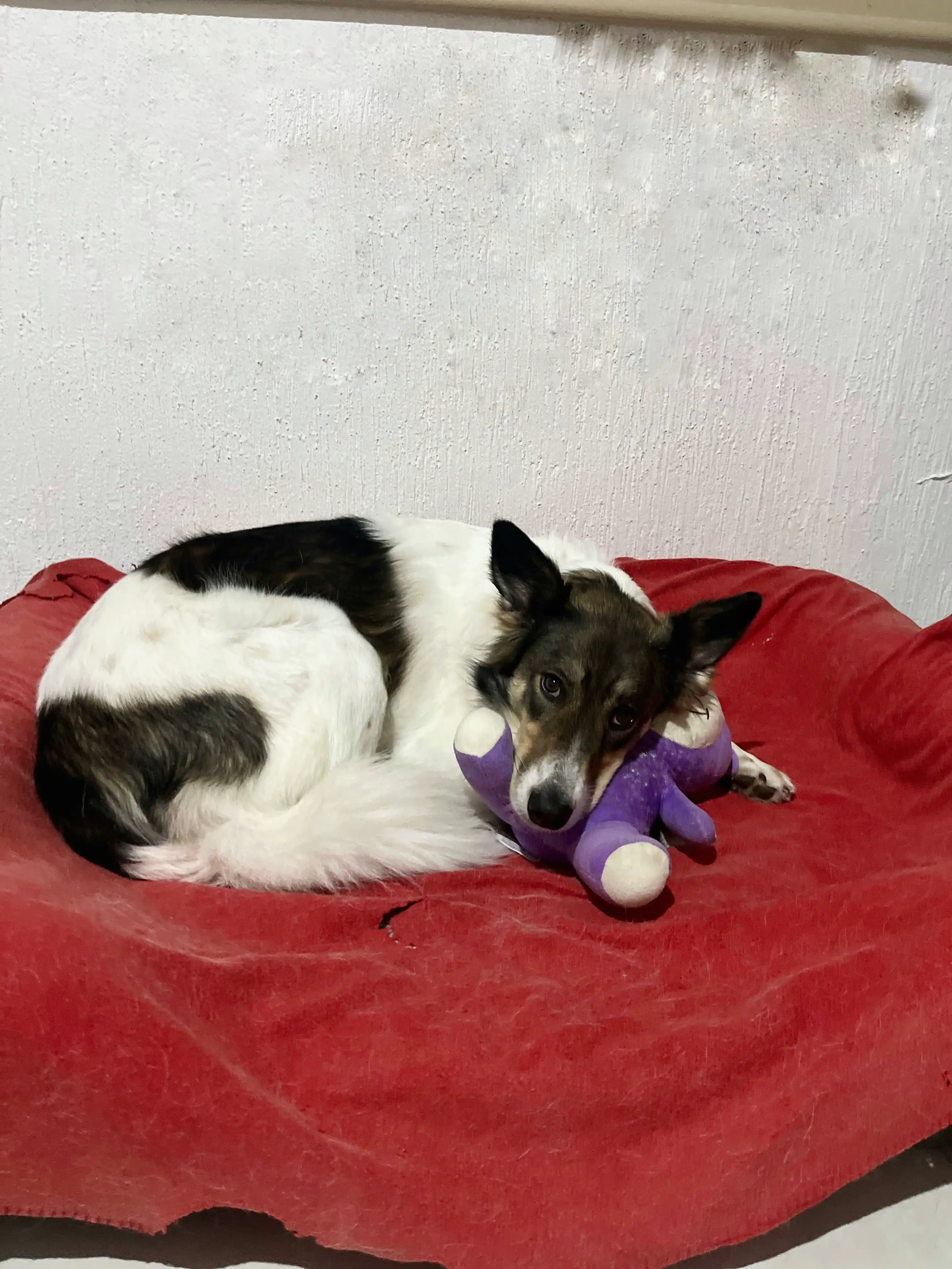 image-16