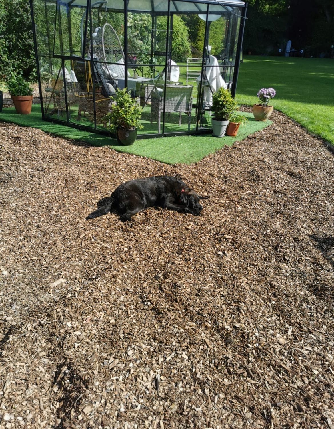 image-8
