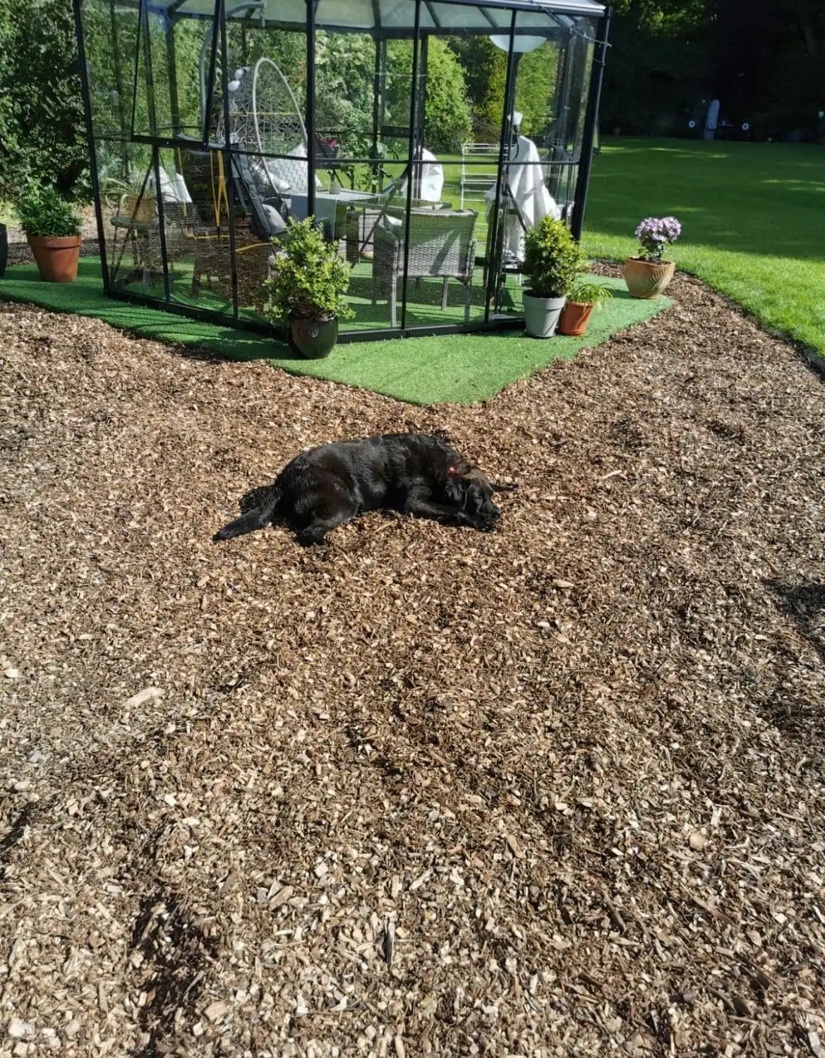 image-8