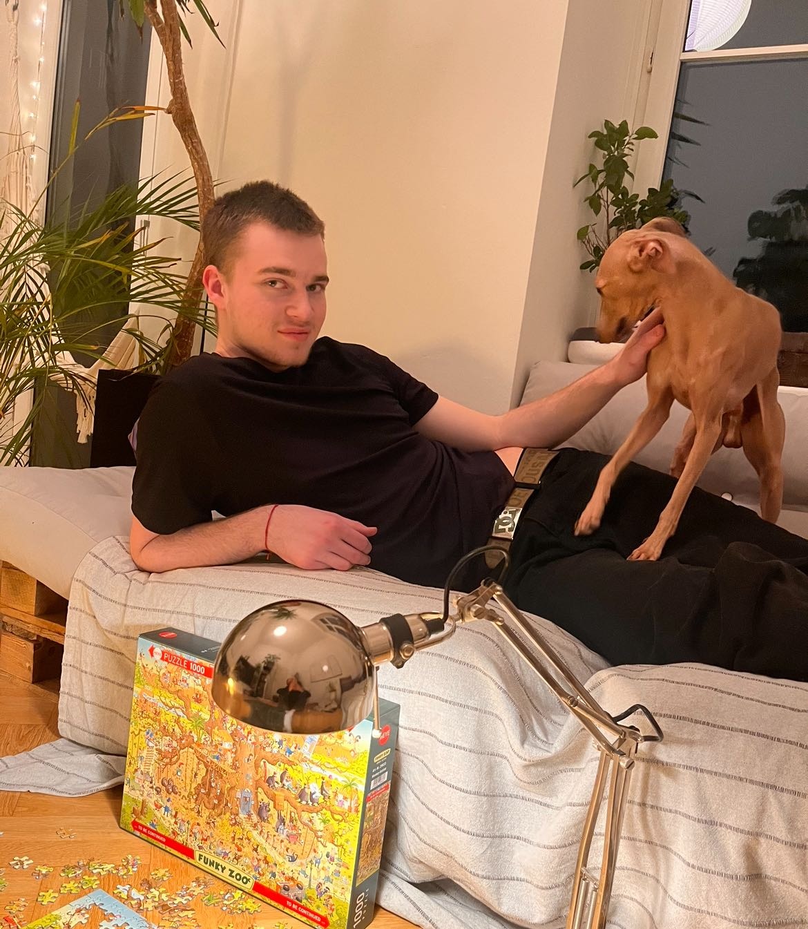 image-9