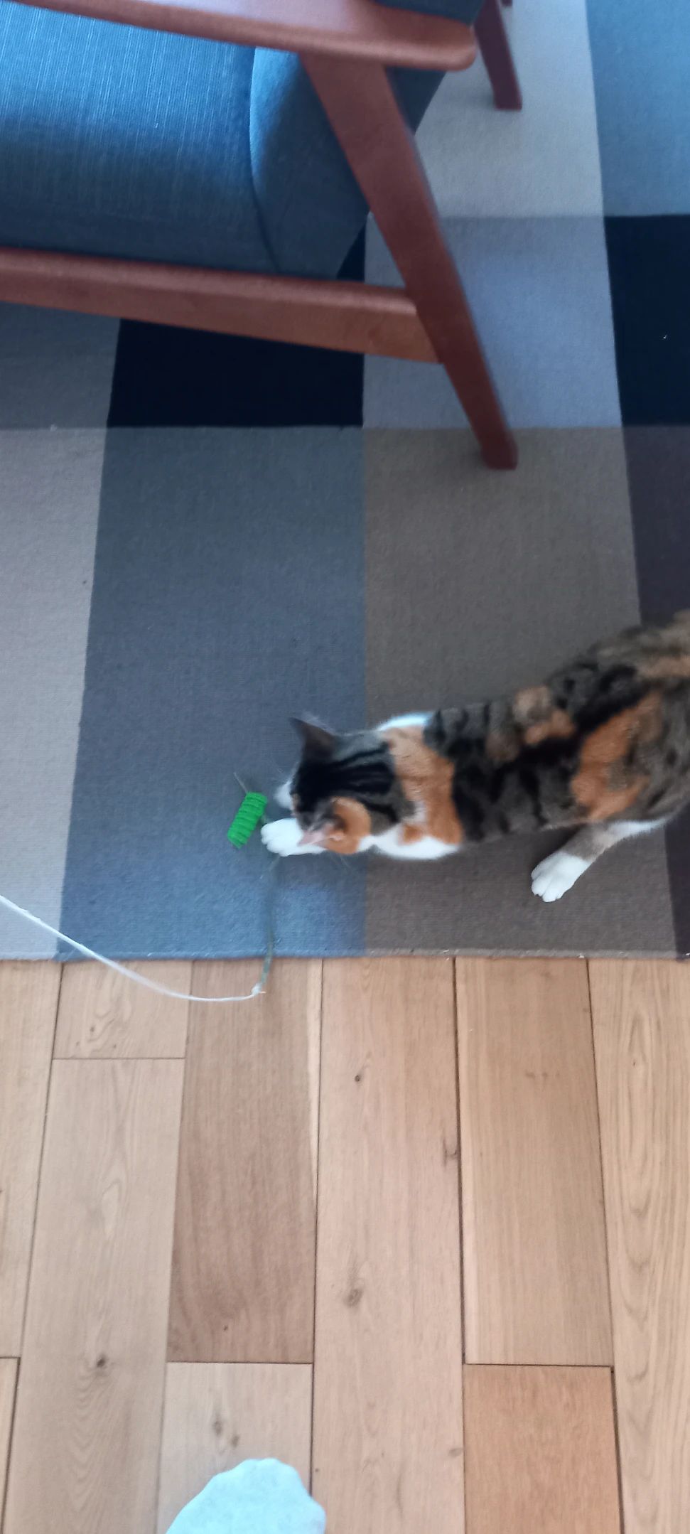 image-11
