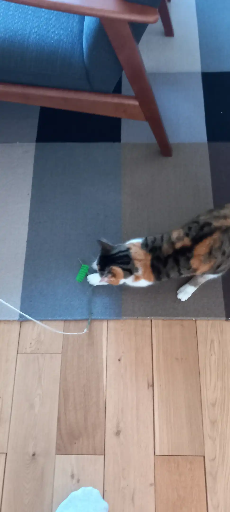 image-11