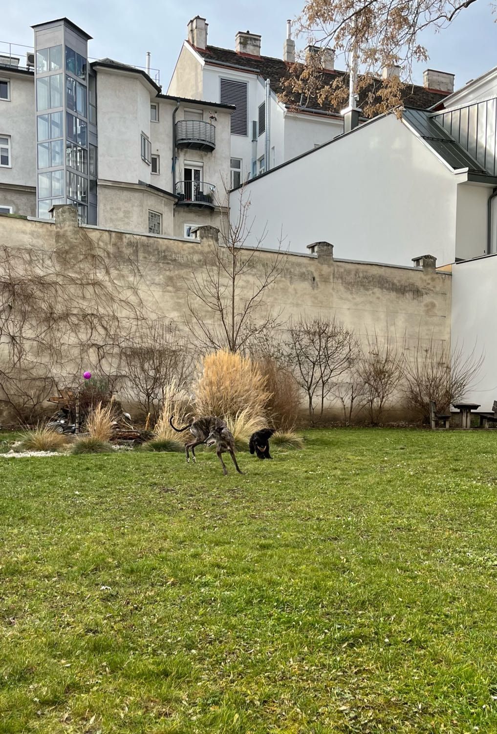 image-43