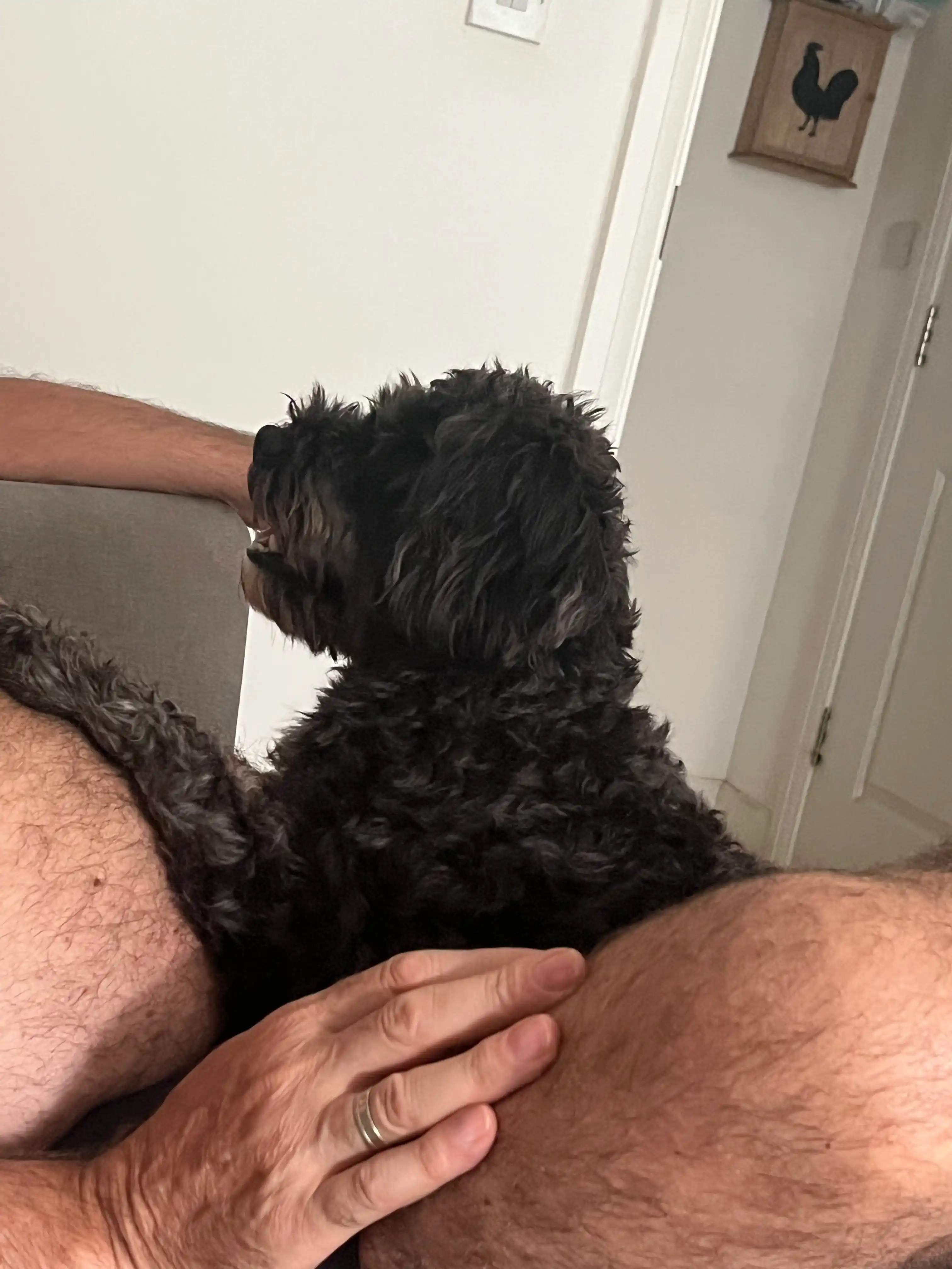image-6