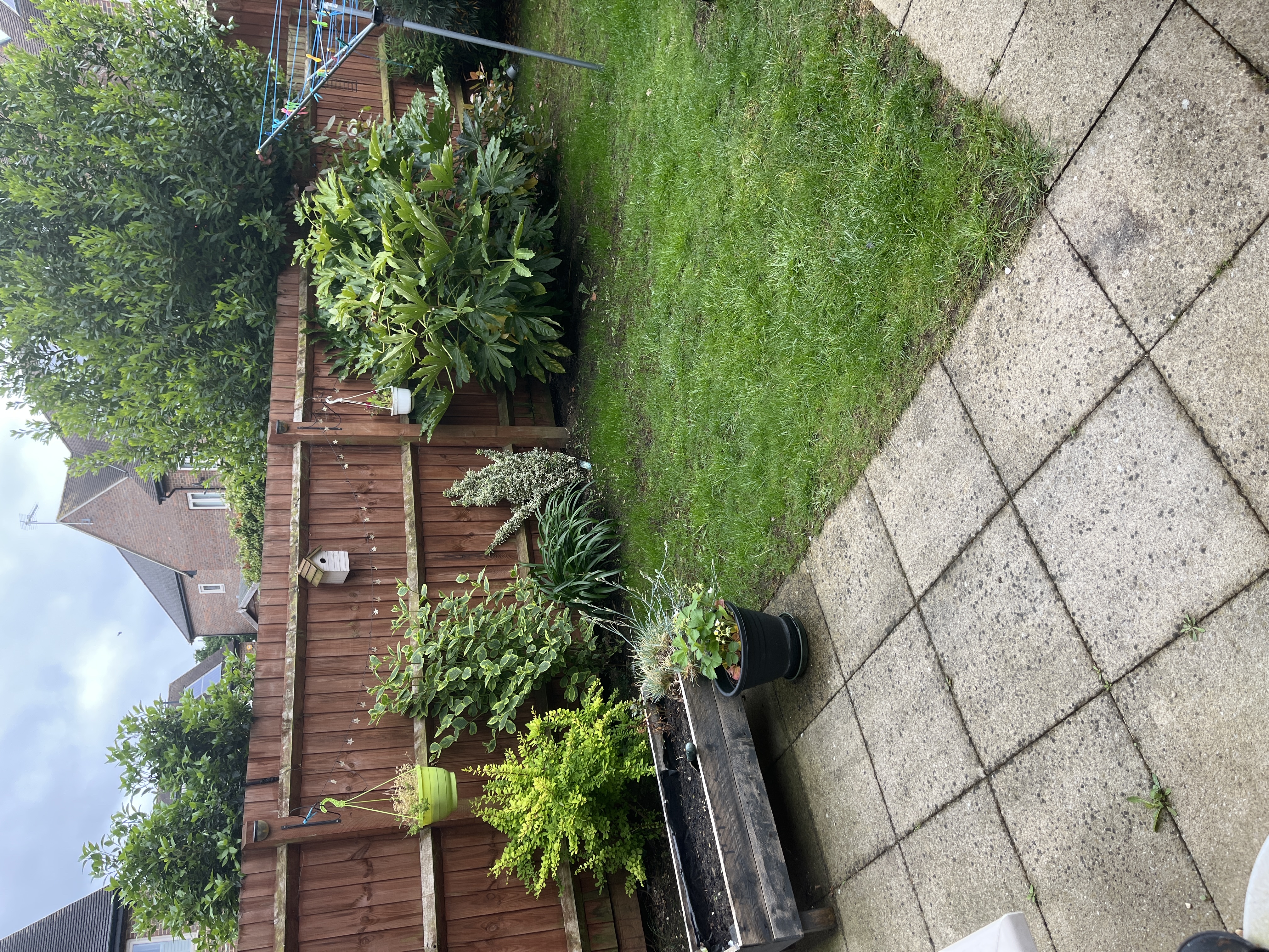 image-13
