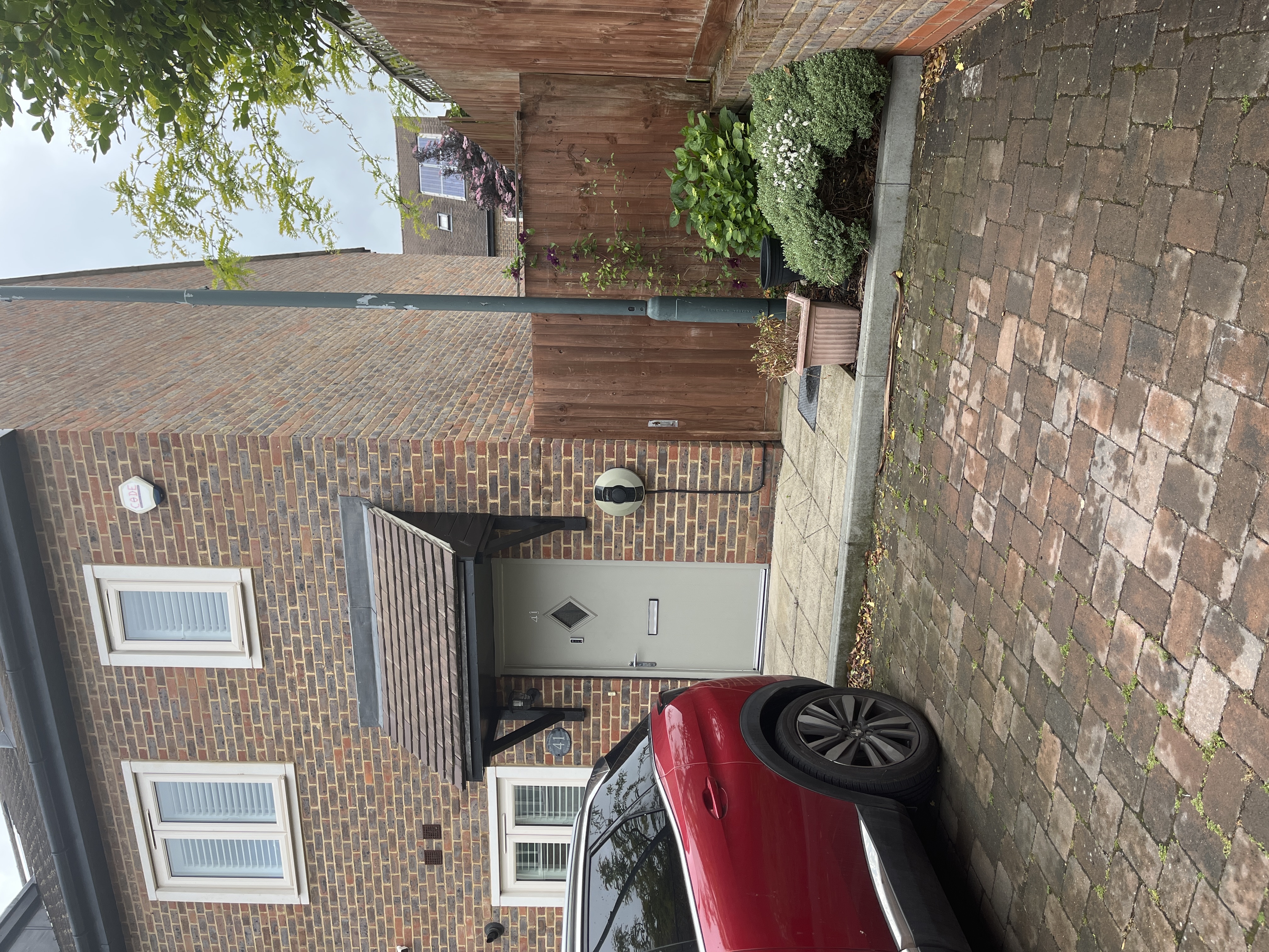 image-15
