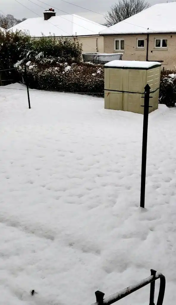 image-11