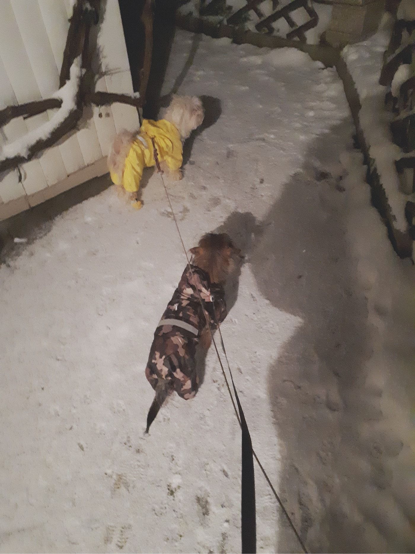 image-9