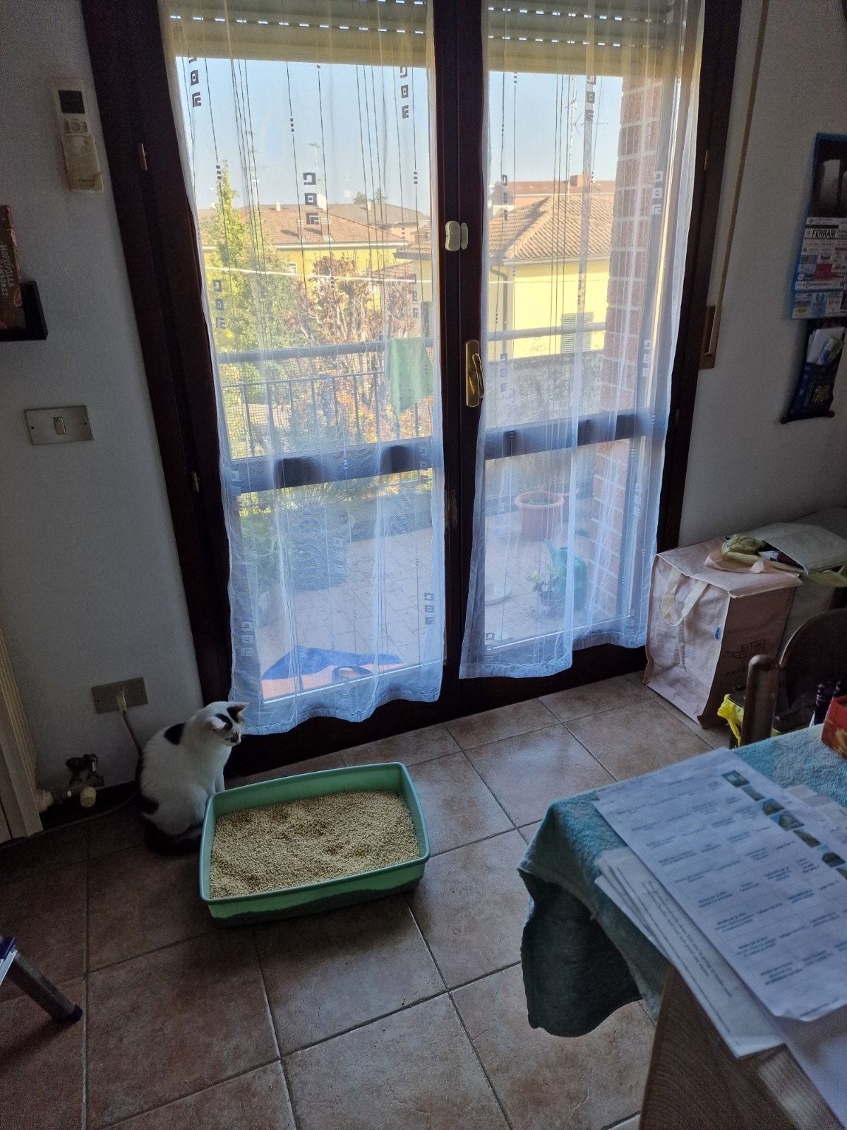 image-15