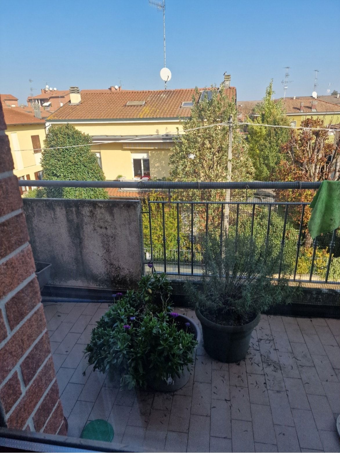 image-18