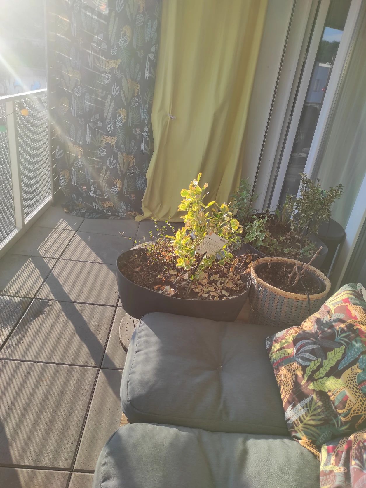 image-12