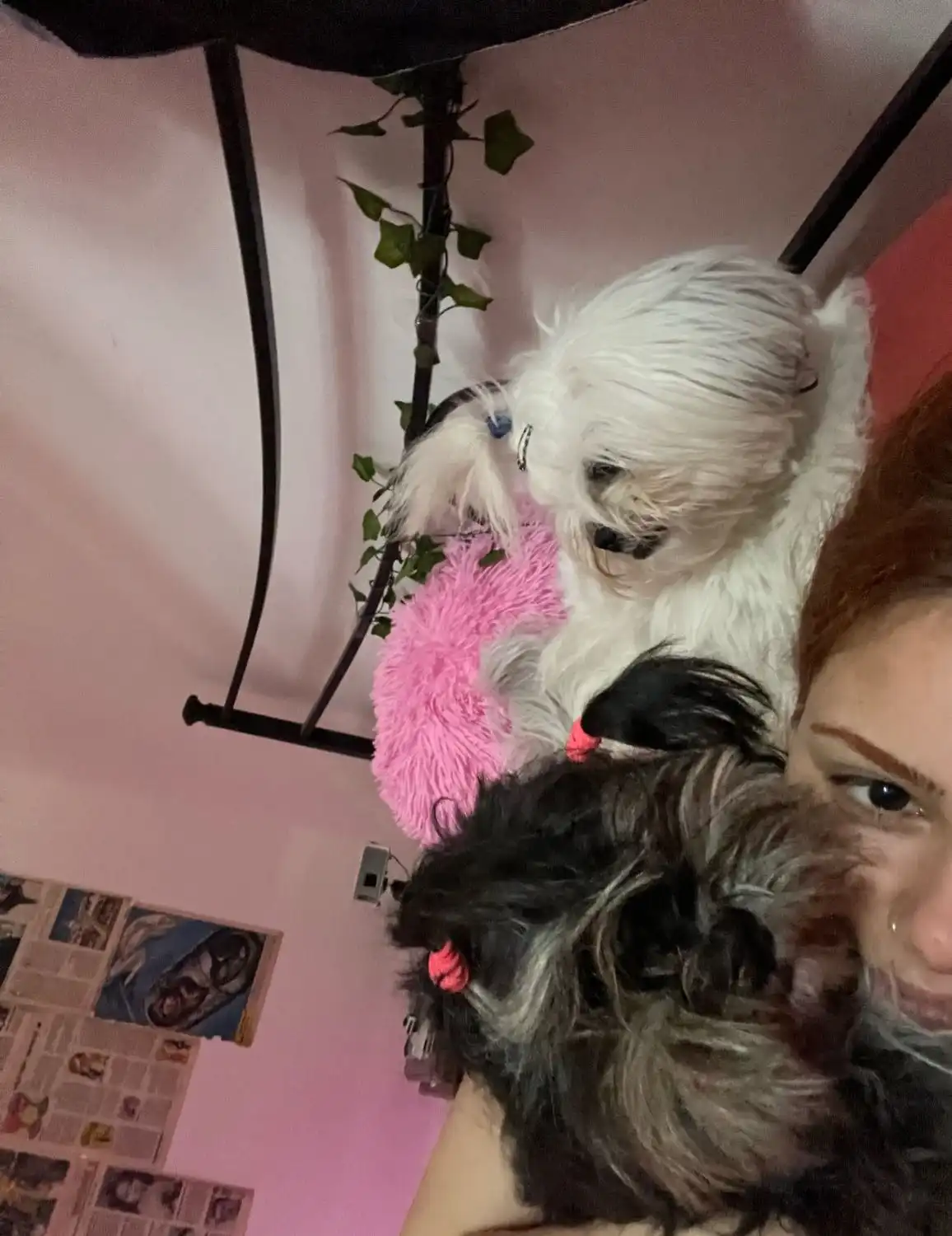 image-6