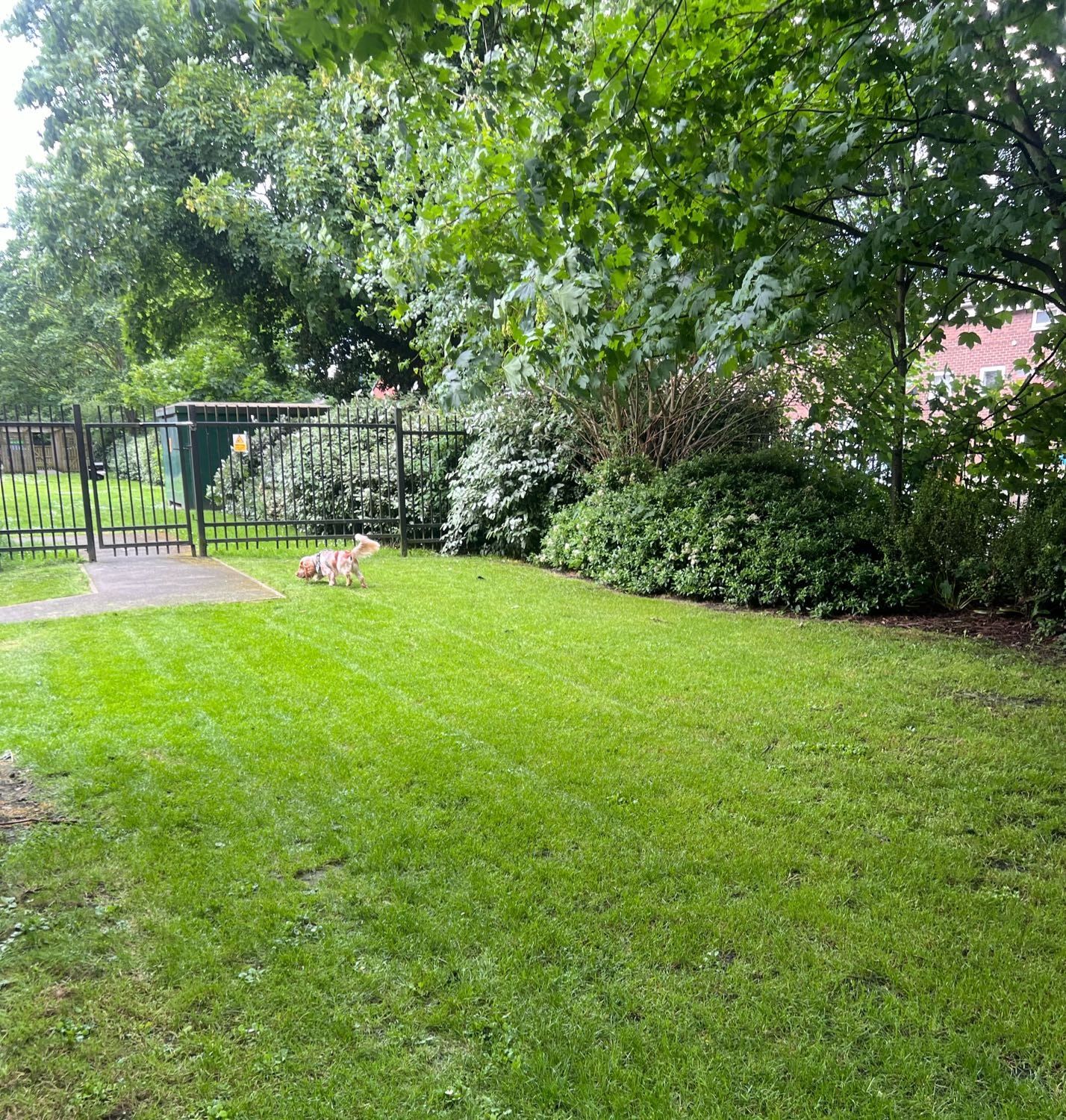 image-17