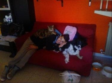 image-4