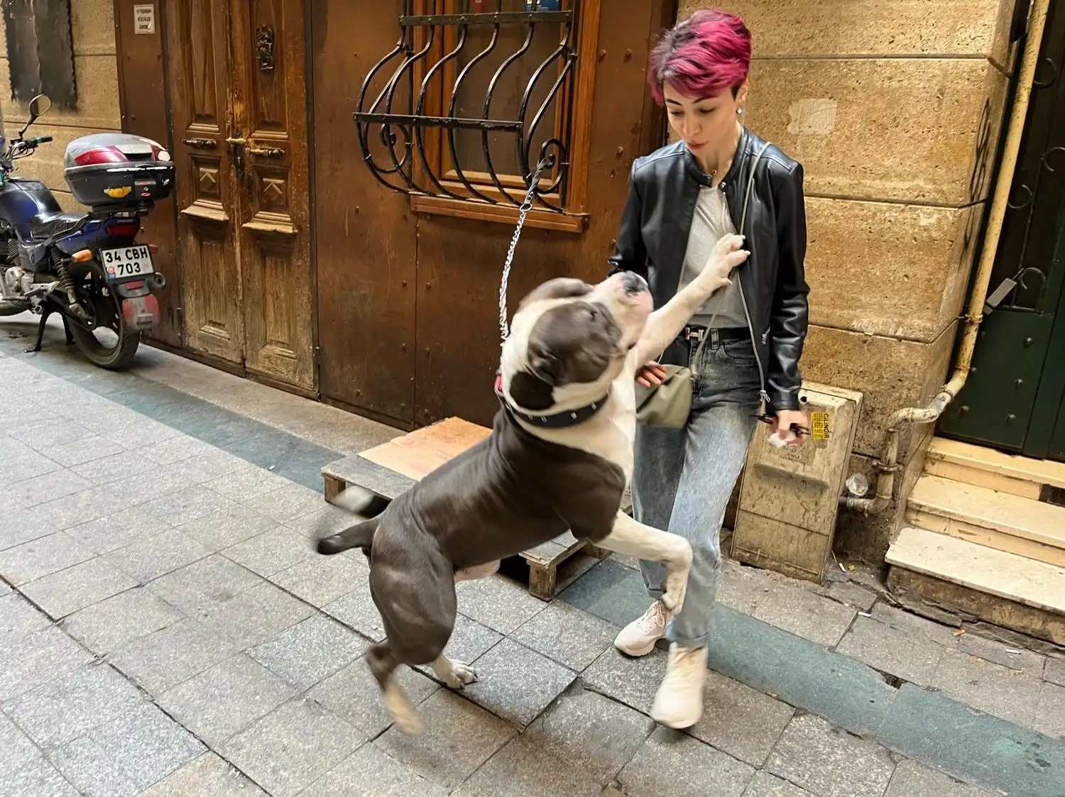 image-10