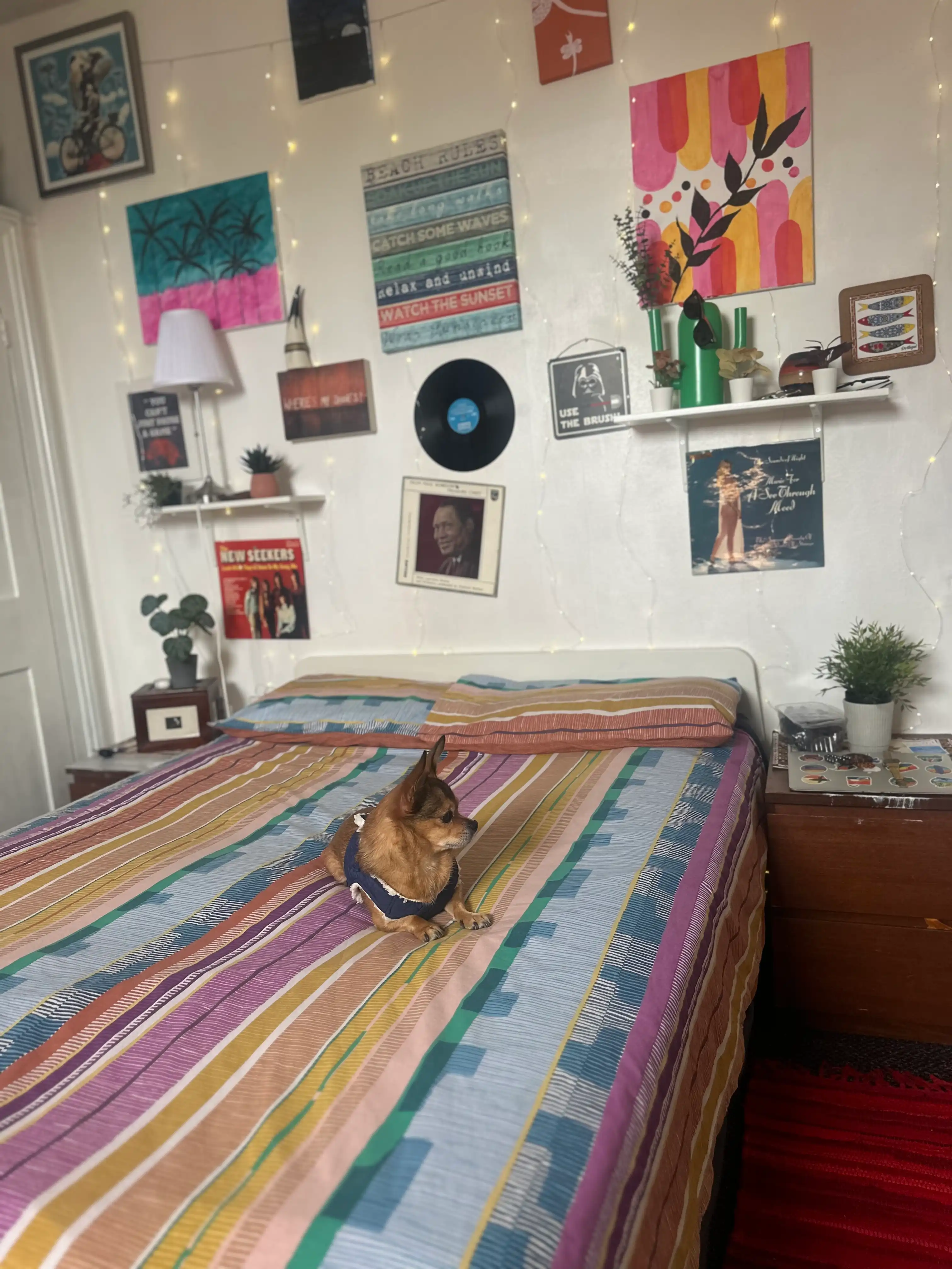 image-15
