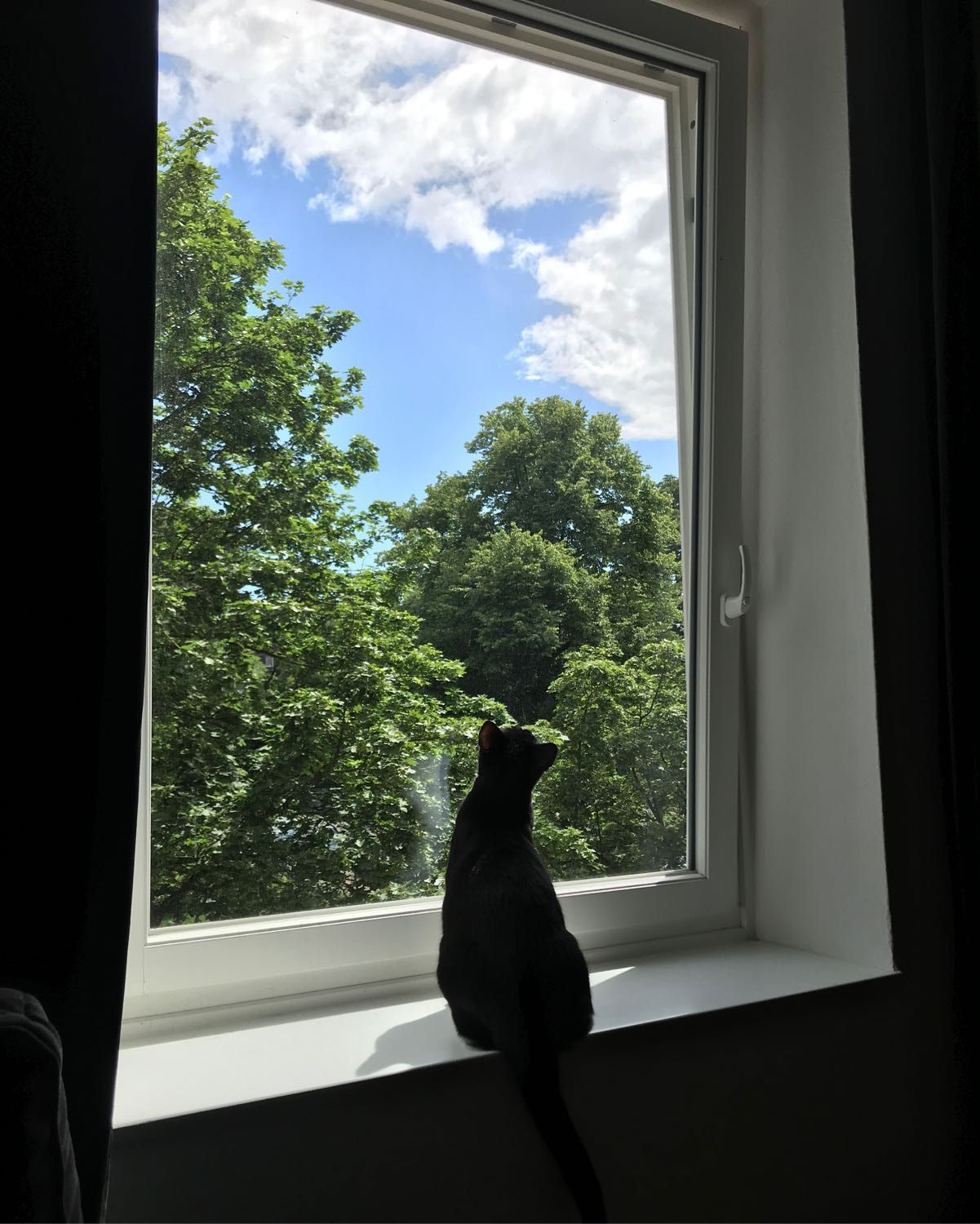 image-18