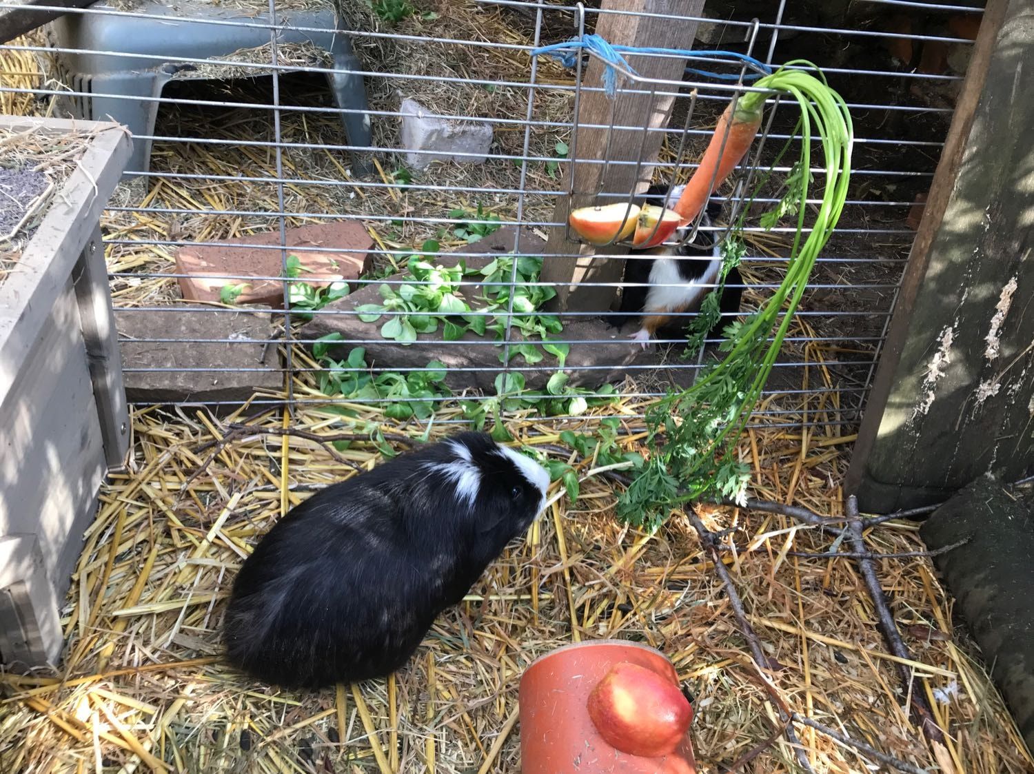 image-13