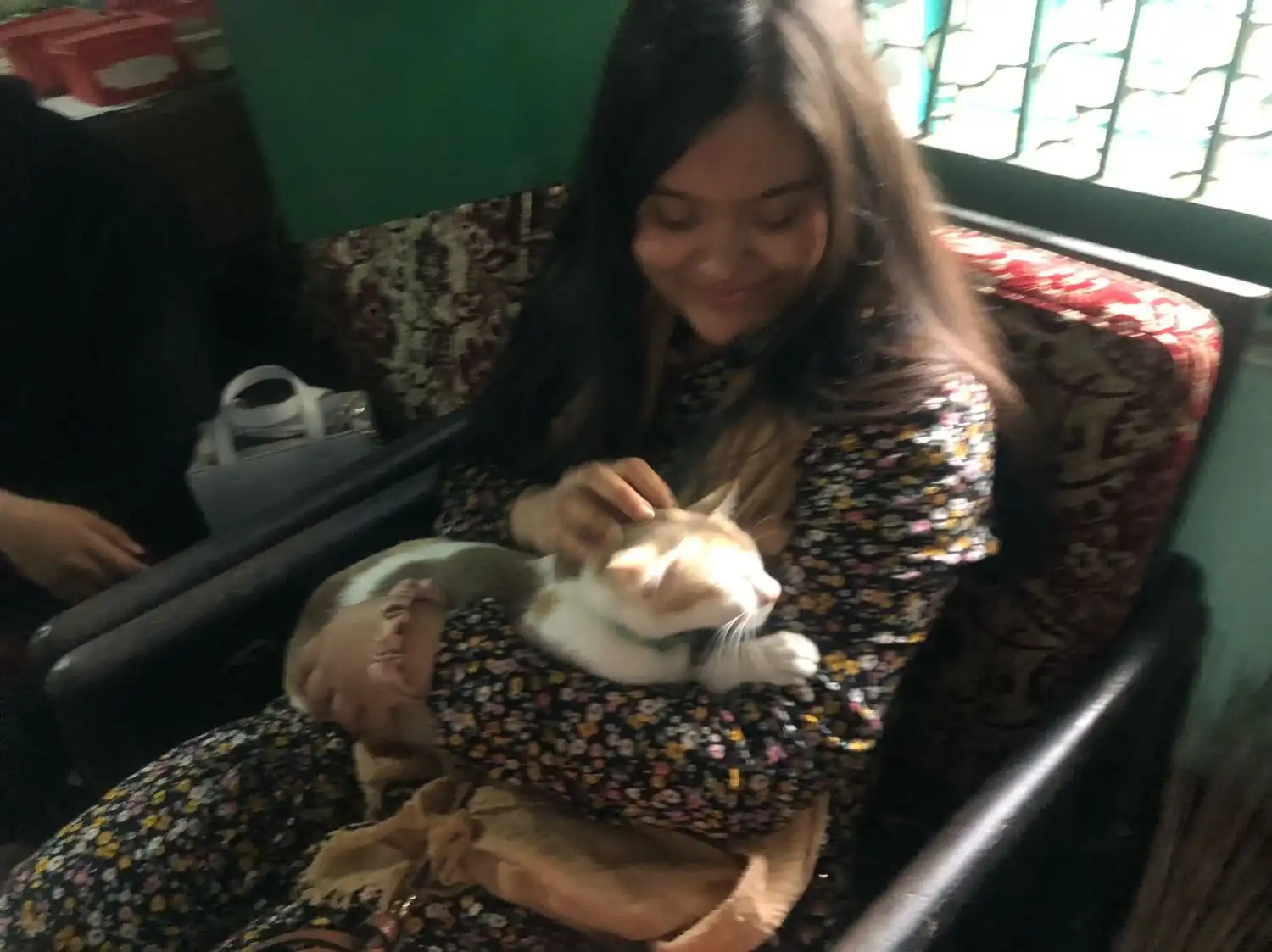 image-5