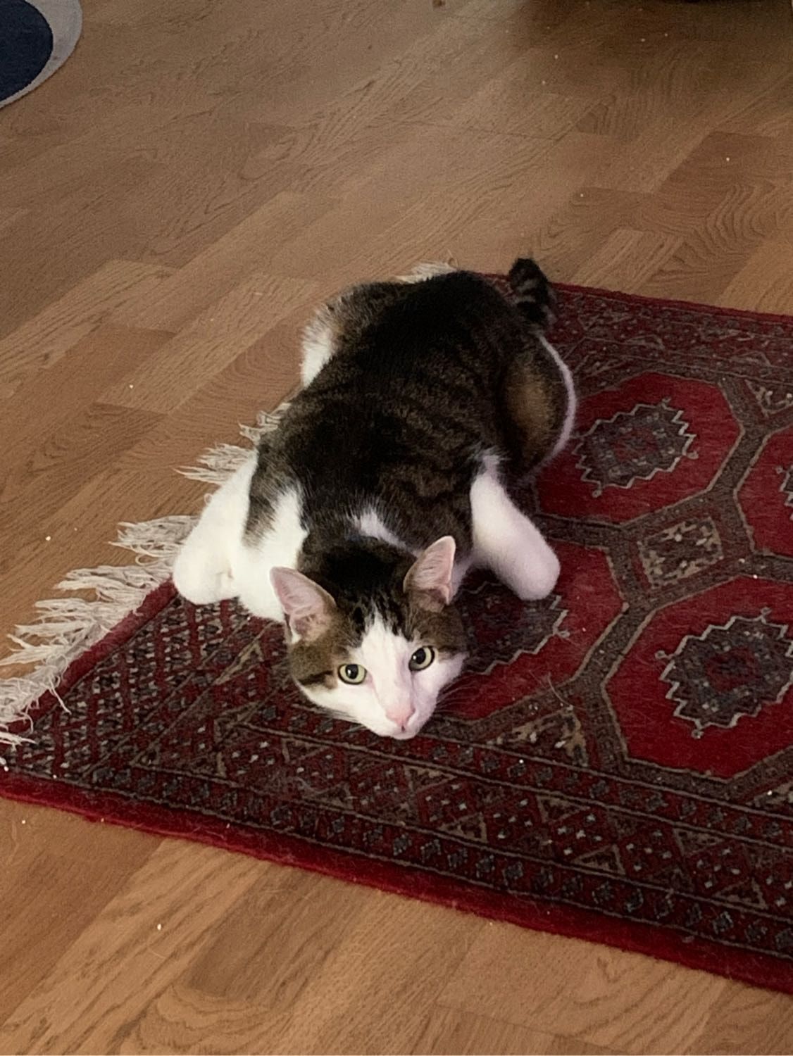 image-10