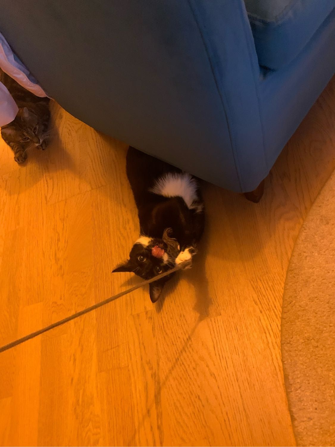 image-6