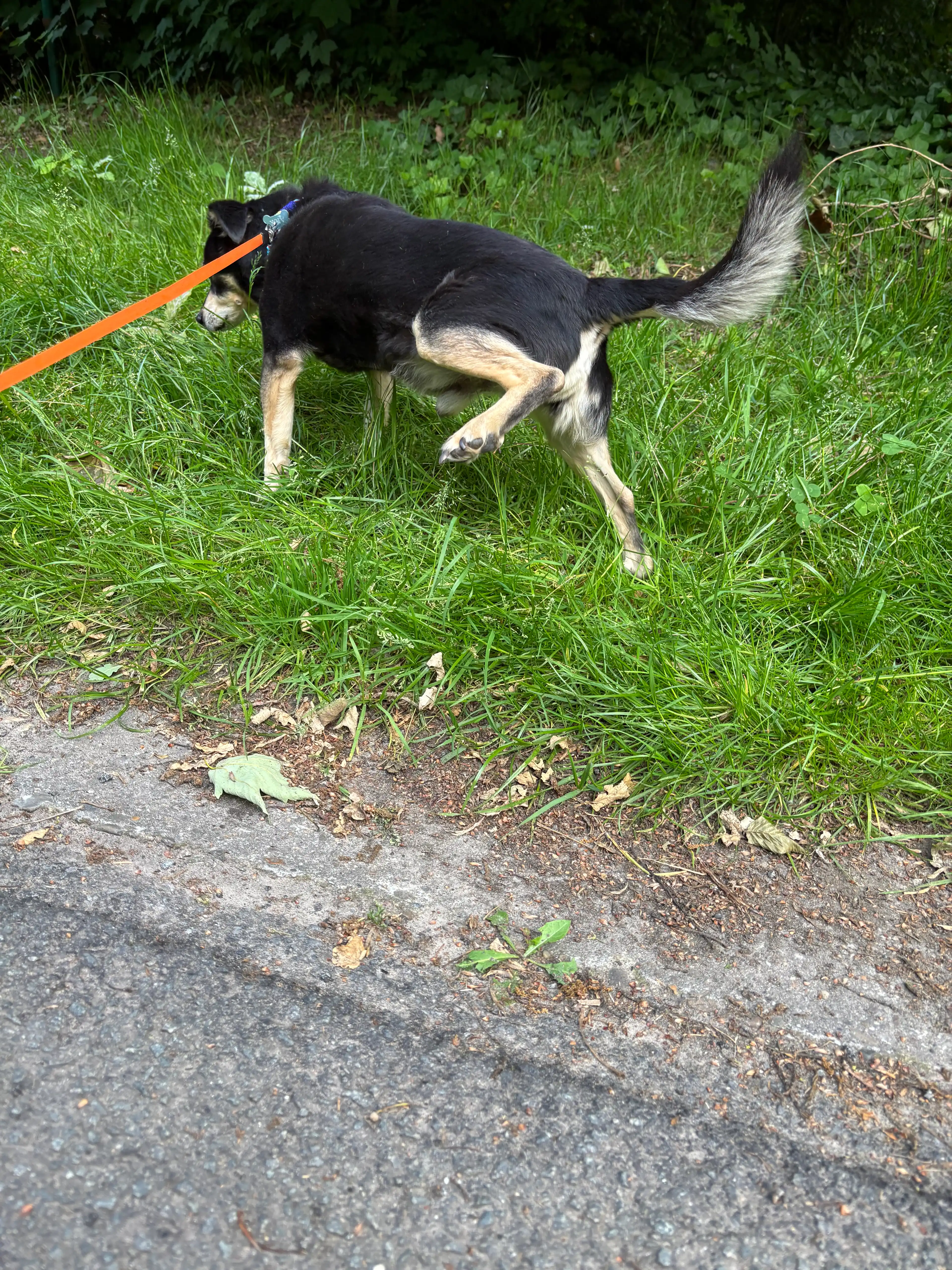 image-9
