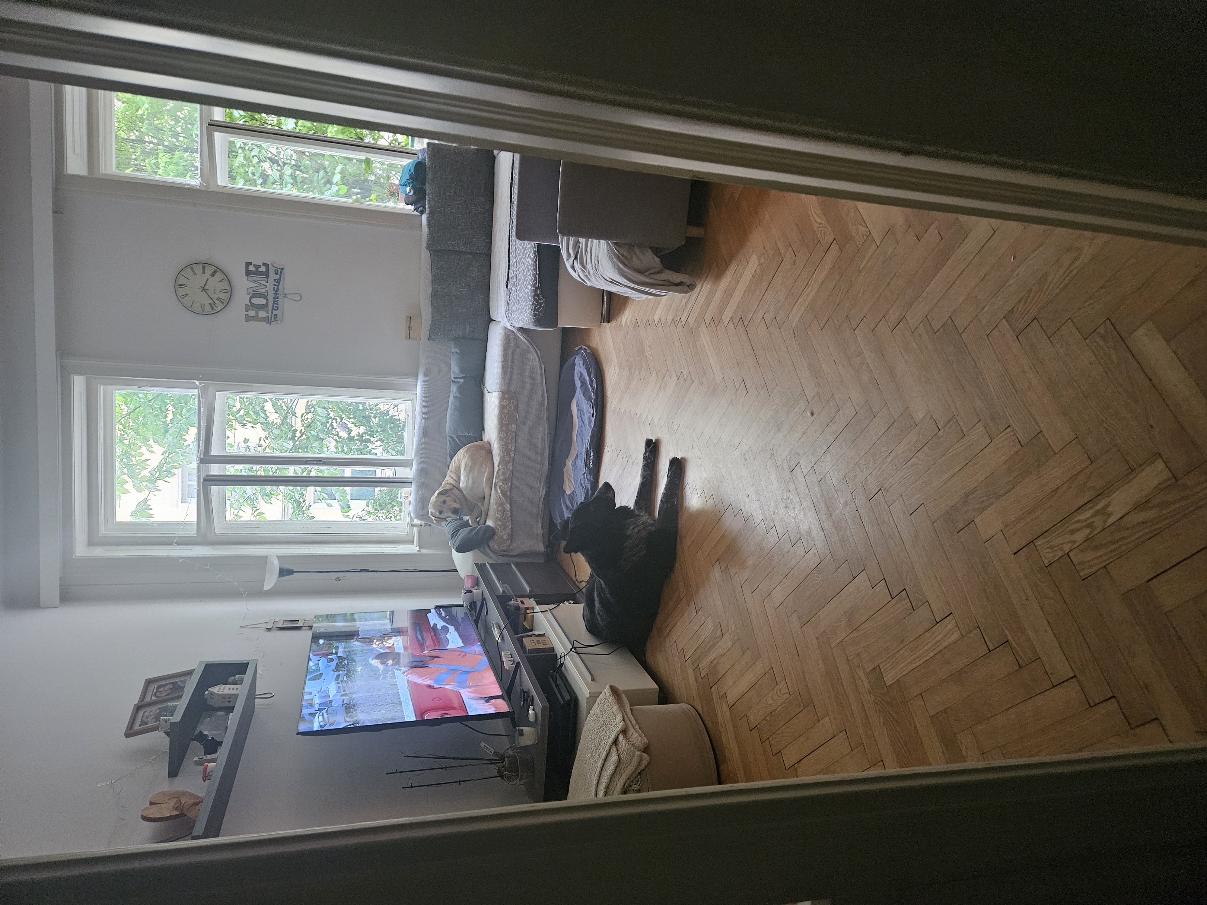 image-42